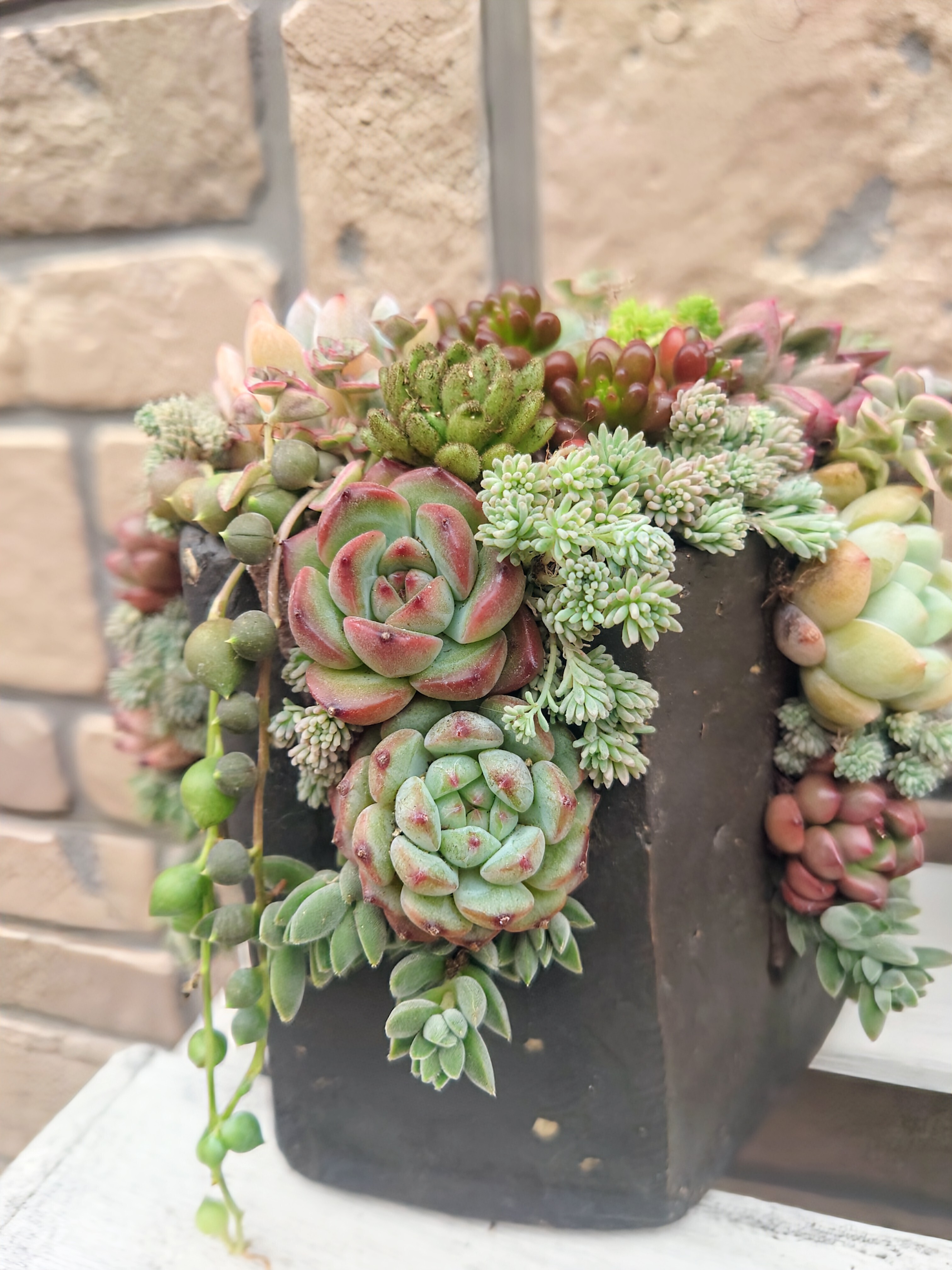 6fba41ee-69e7-4d25-be06-