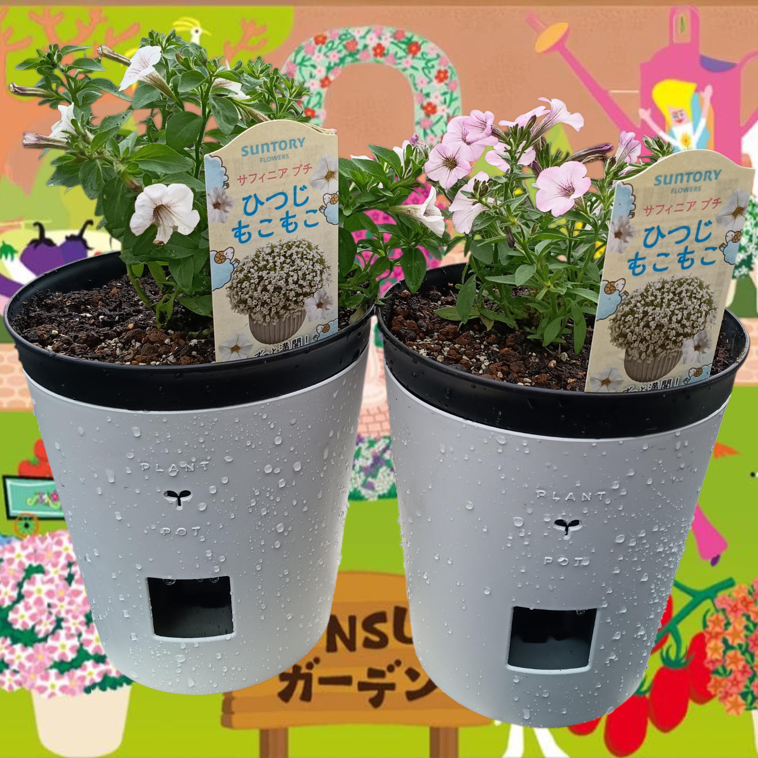 サフィニアプチ・ひつじもこもこ＆あずきもこもこ | SUNSUNガーデン