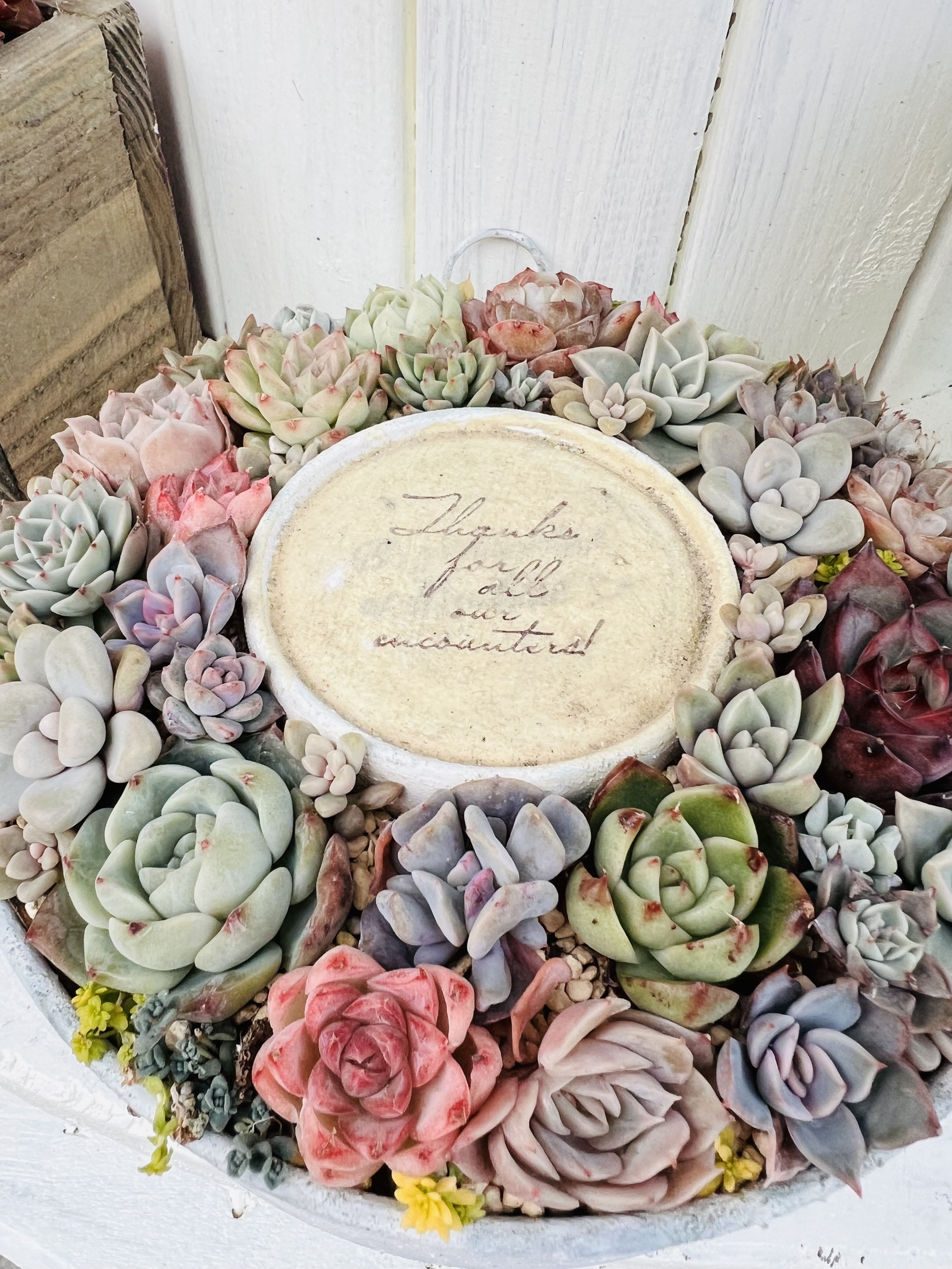 寄せ植えリース♡ | CAINZ DIY Square