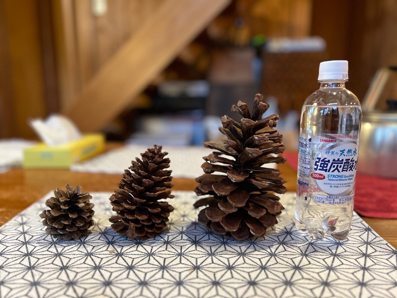 ご注文商品専用出品やすの松ぼっくりオマケ入り デカい松ぼっくりのトゲ取り | CAINZ DIY Square