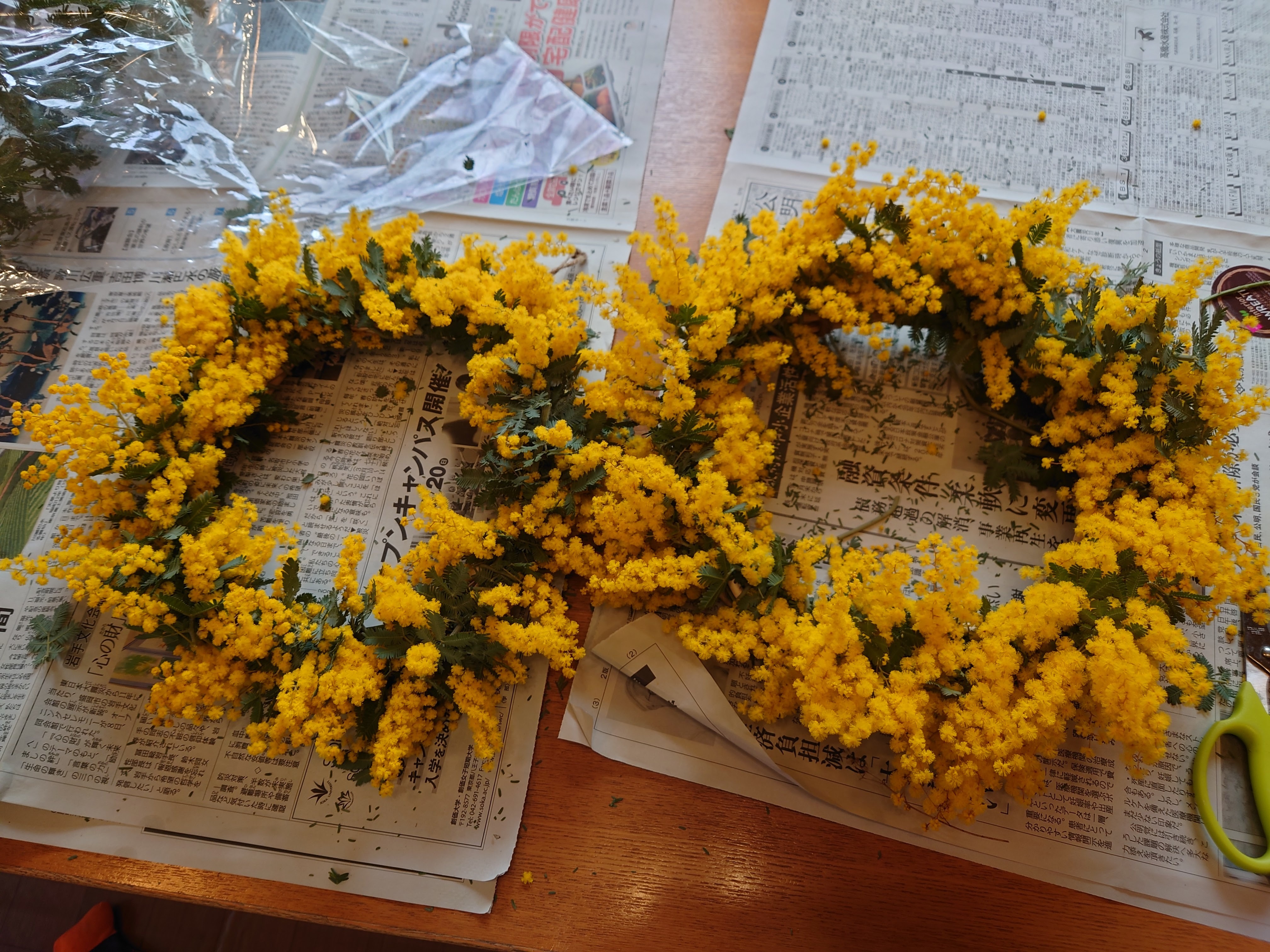 ミモザリース | CAINZ DIY Square