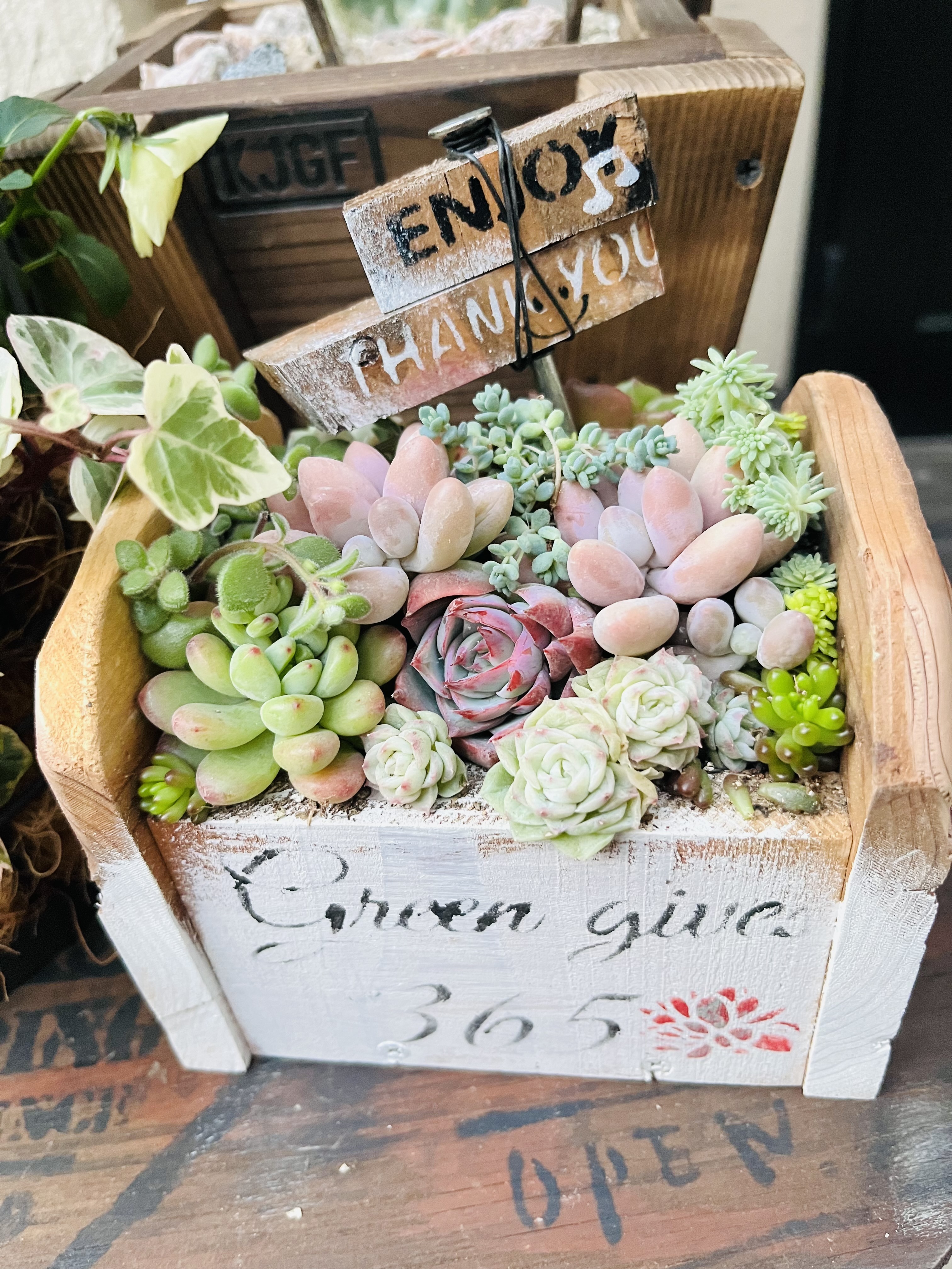 フラワーマーケットで寄せ植え | CAINZ DIY Square