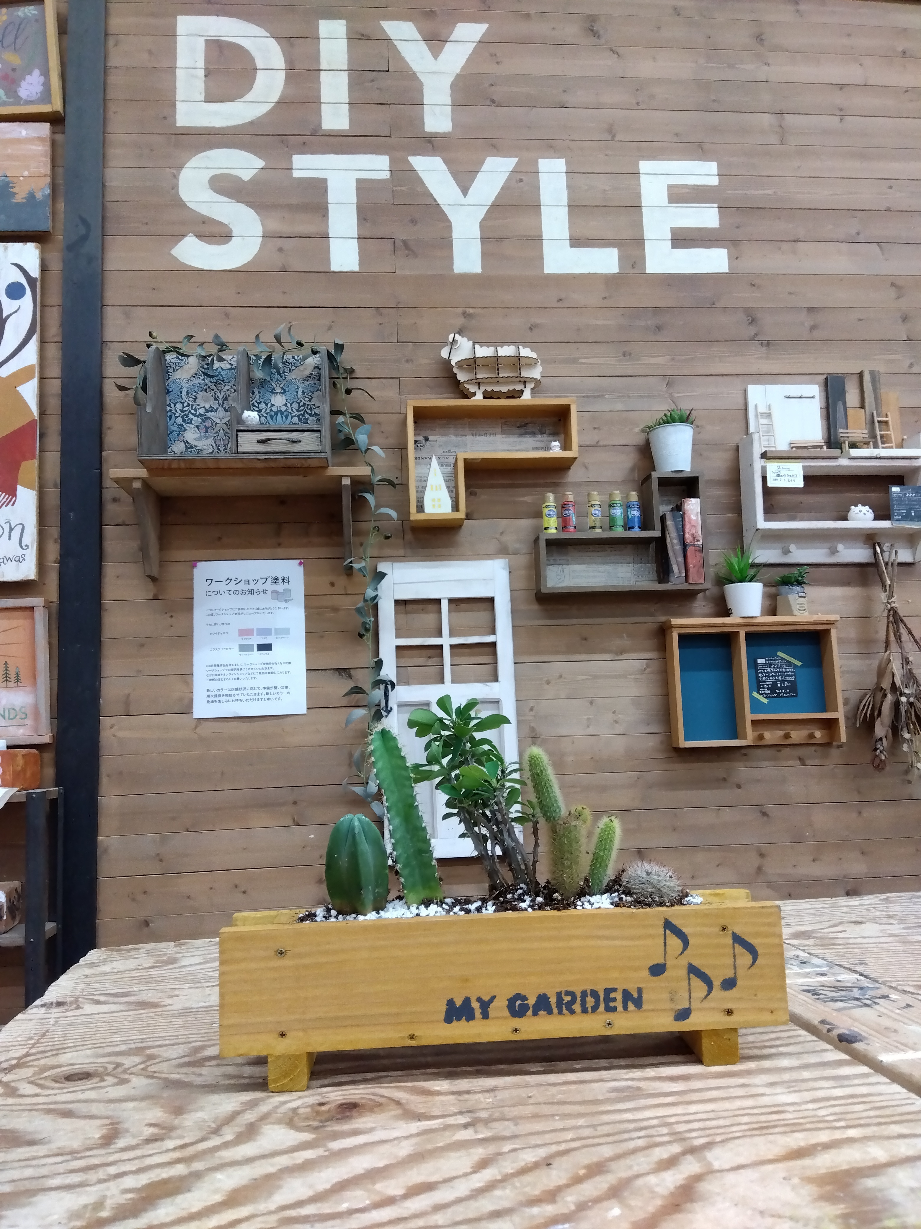 横長プランターとサボテン🌵の寄せ植え♪ | CAINZ DIY Square