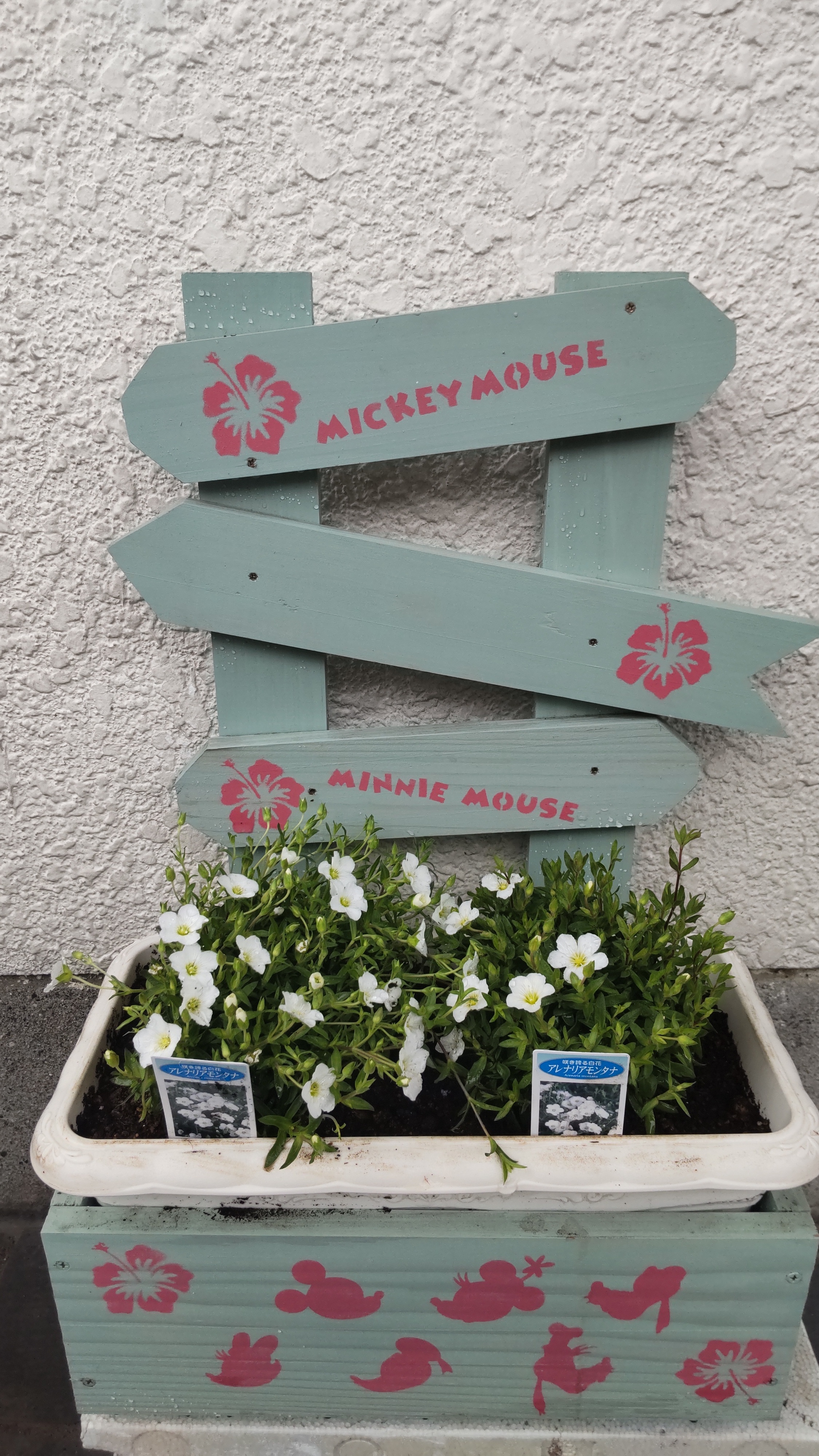 寄せ植え | CAINZ DIY Square