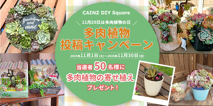 多肉植物投稿キャンペーン開催！ | CAINZ DIY Square
