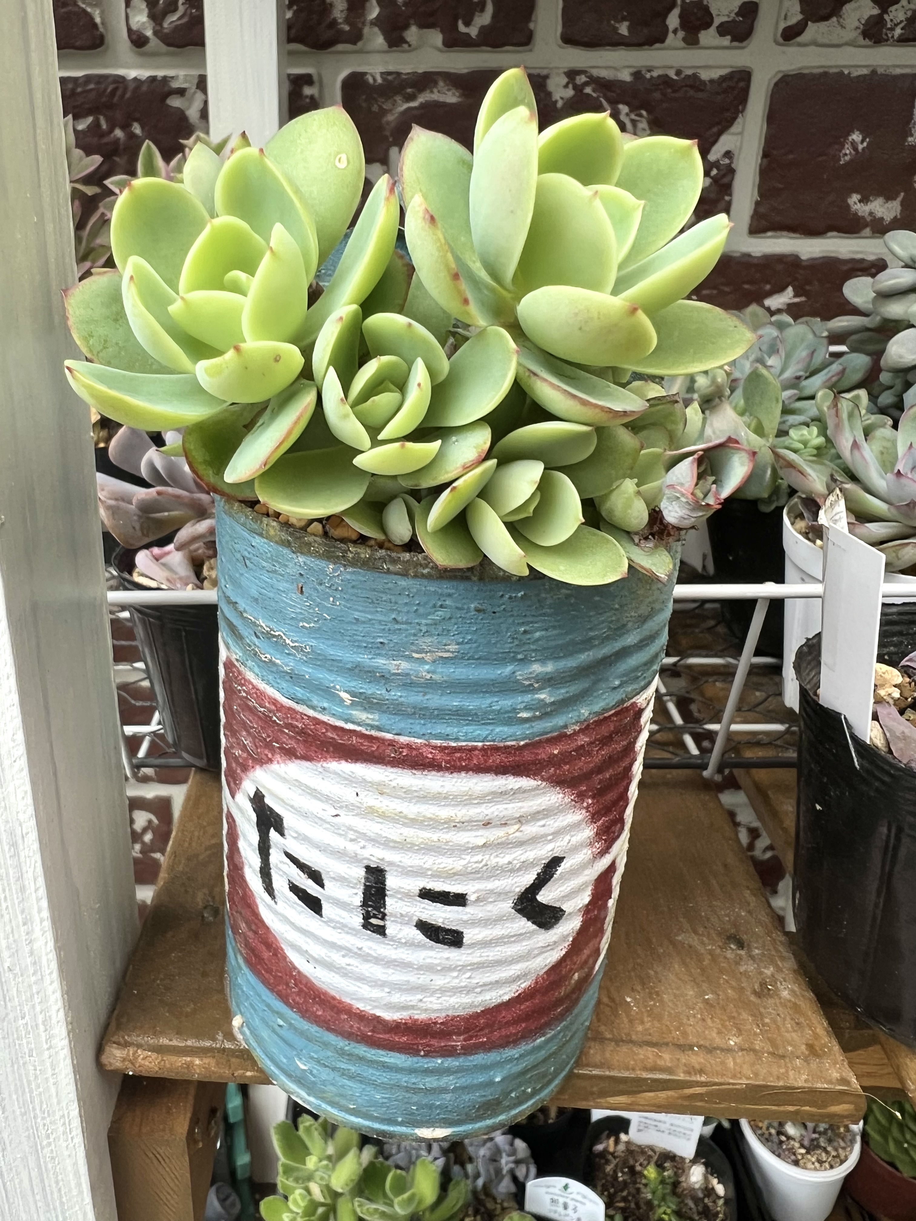 リメイク缶植え替え | CAINZ DIY Square