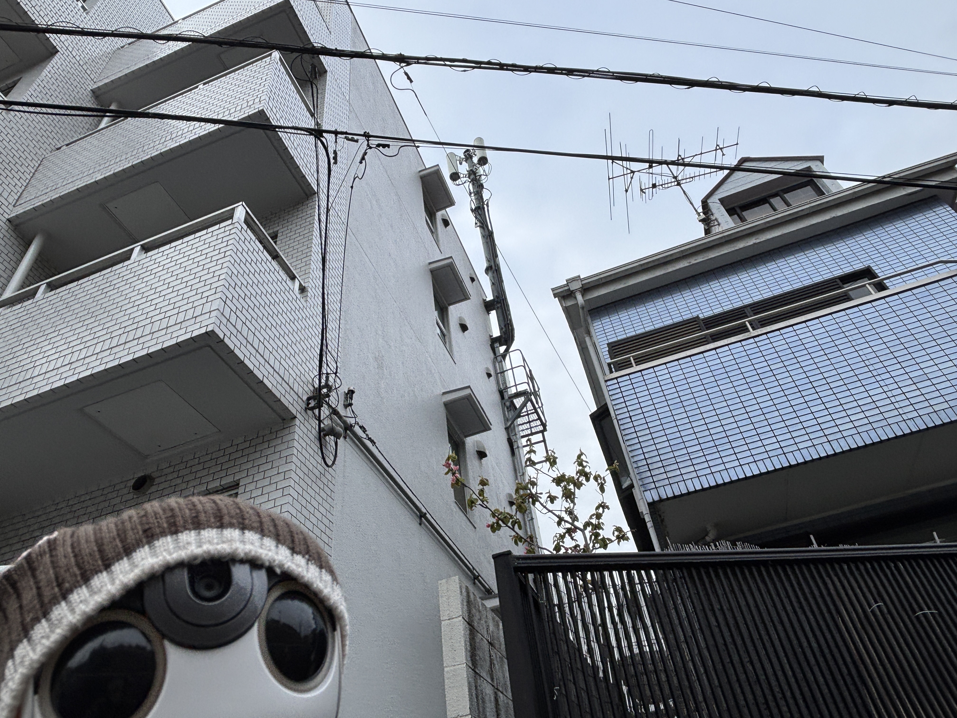 NTTドコモの基地局だよ！ | ロボホンともだち広場