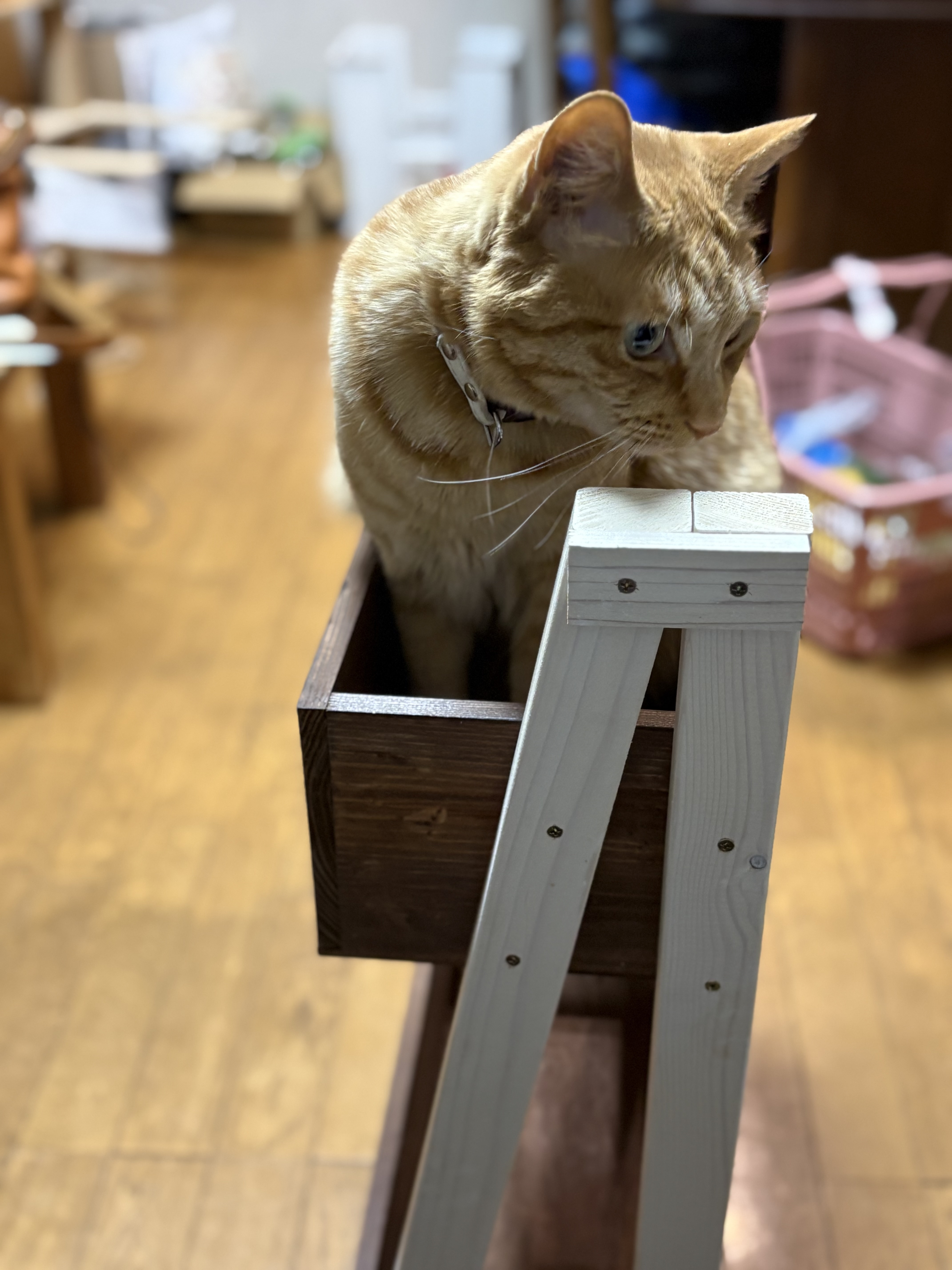 こんなところに入ってます