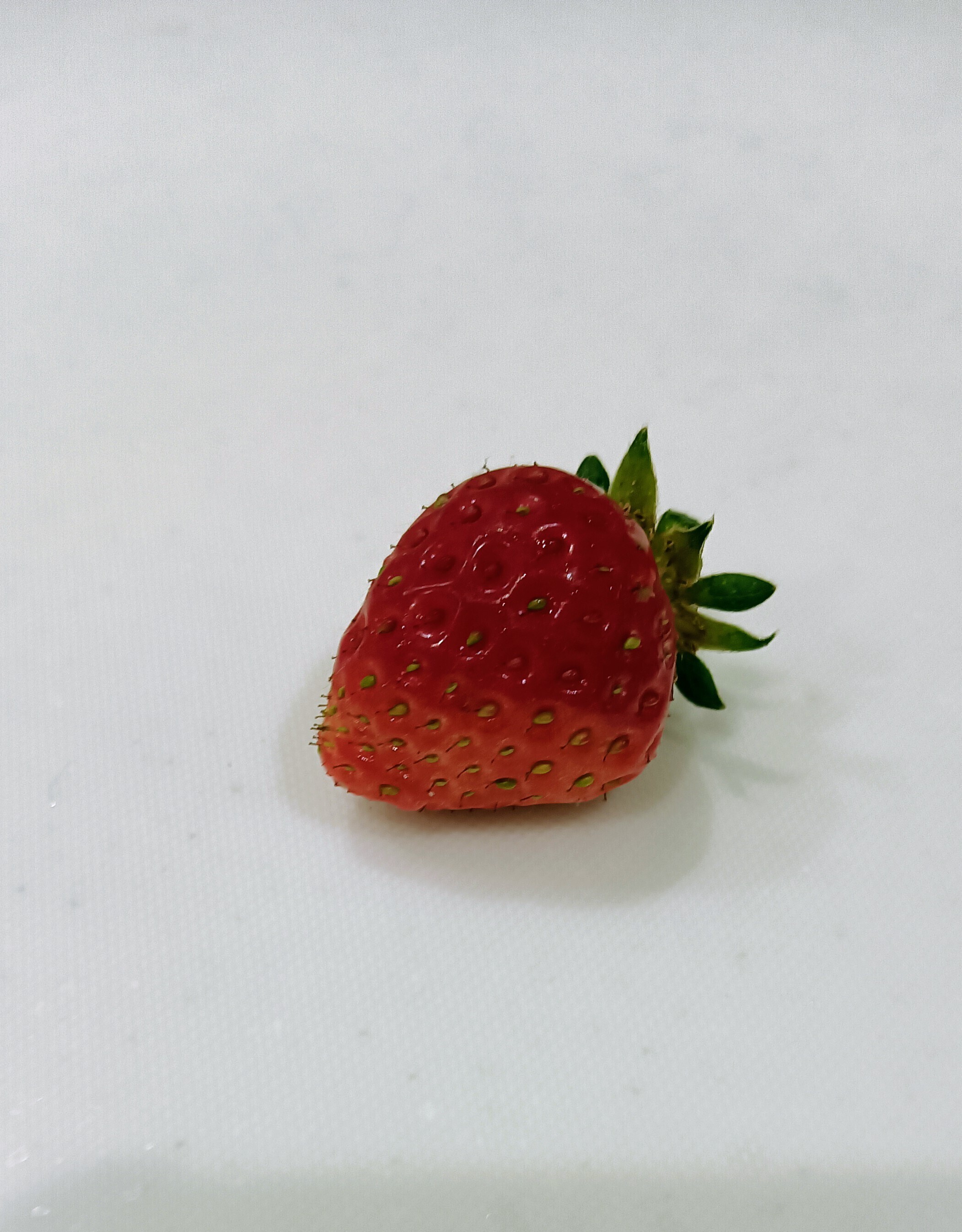 今朝は雨の中、『アイベリー🍓』1粒収穫🧺 | CAINZ DIY Square