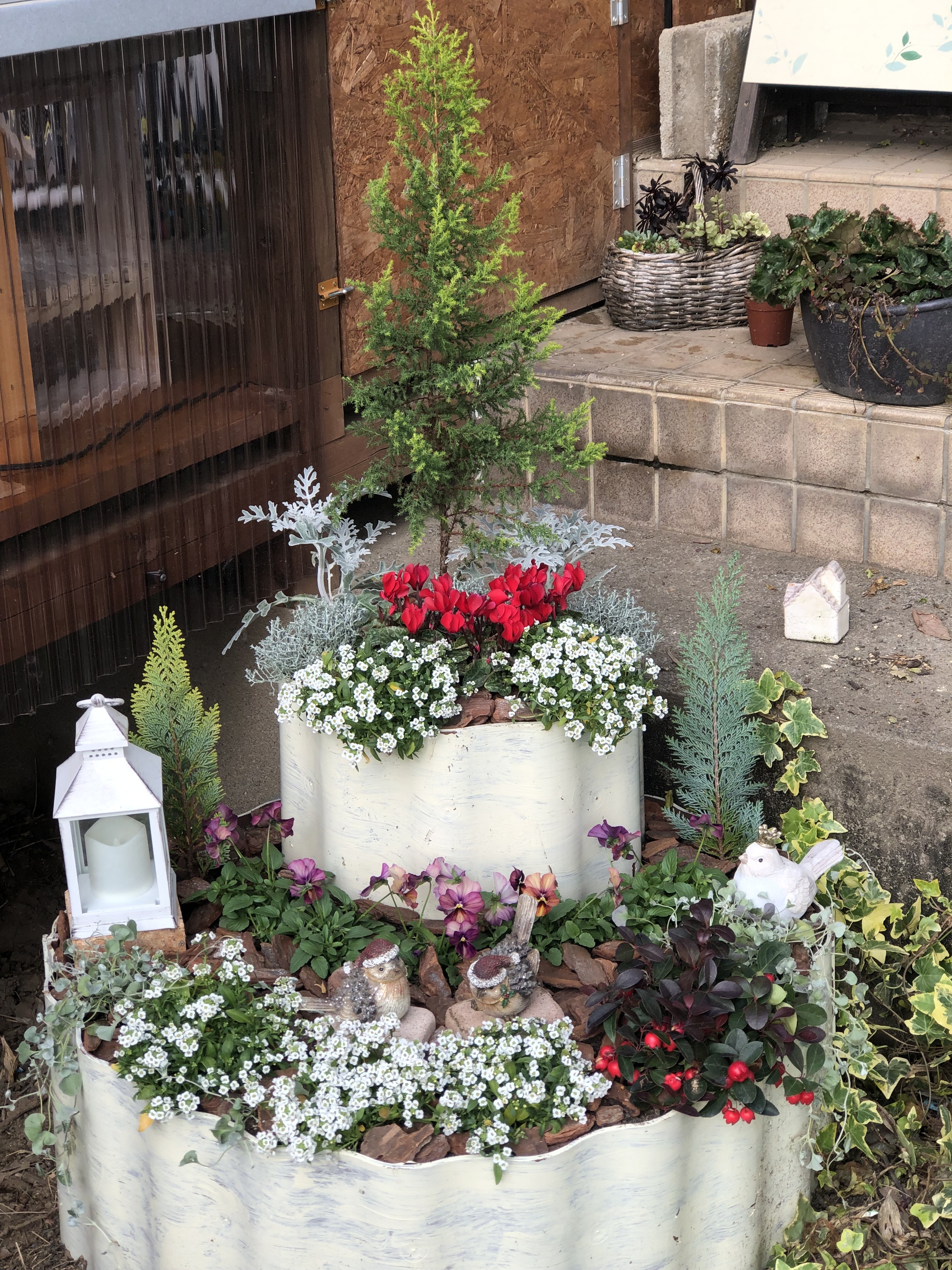 お庭を綺麗にする計画 ⑩ ♪ | CAINZ DIY Square