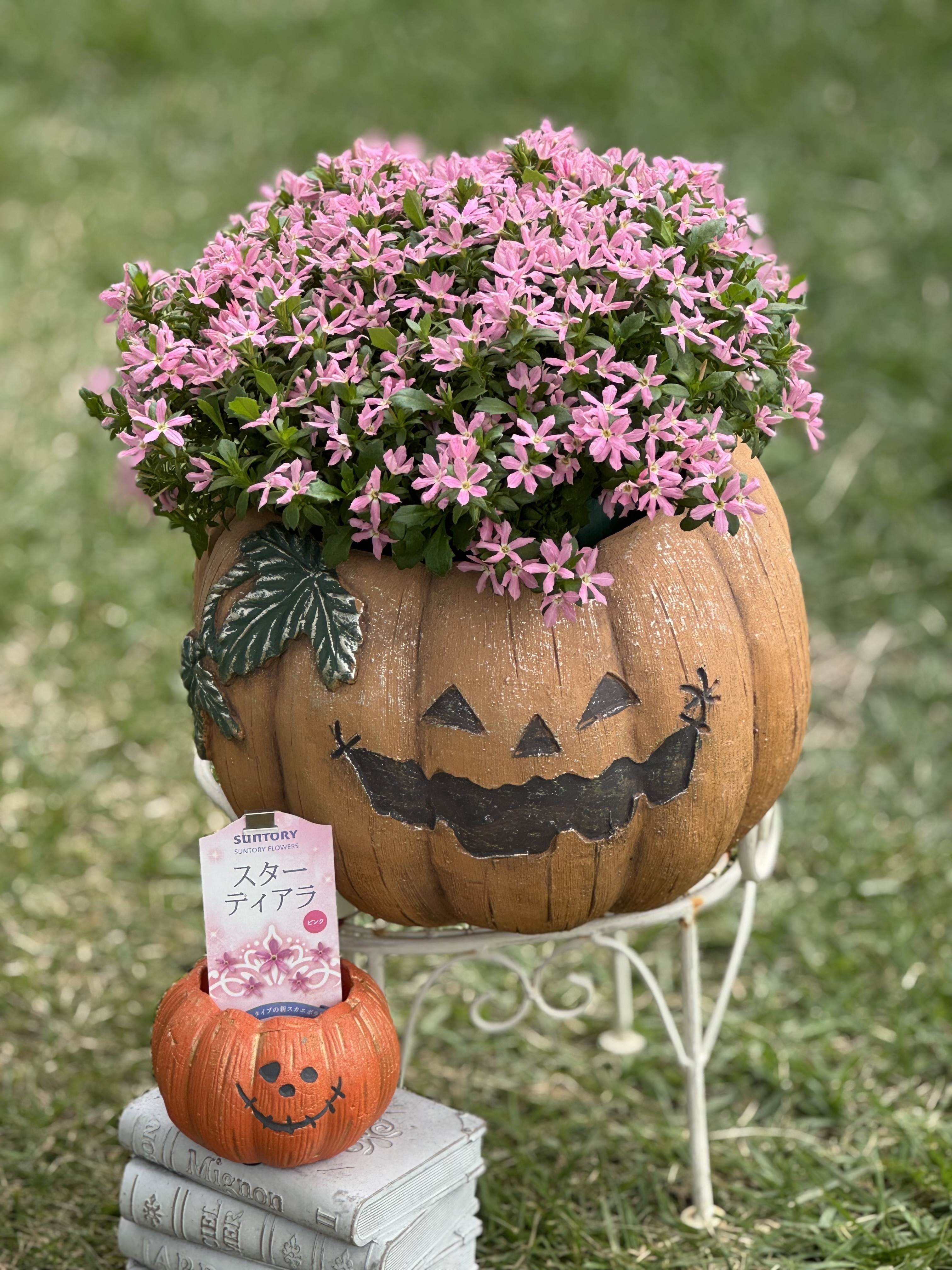 🎃*⸜𝑯𝒂𝒑𝒑𝒚 𝑯𝒂𝒍𝒍𝒐𝒘𝒆𝒆𝒏⸝*👻 | SUNSUNガーデン