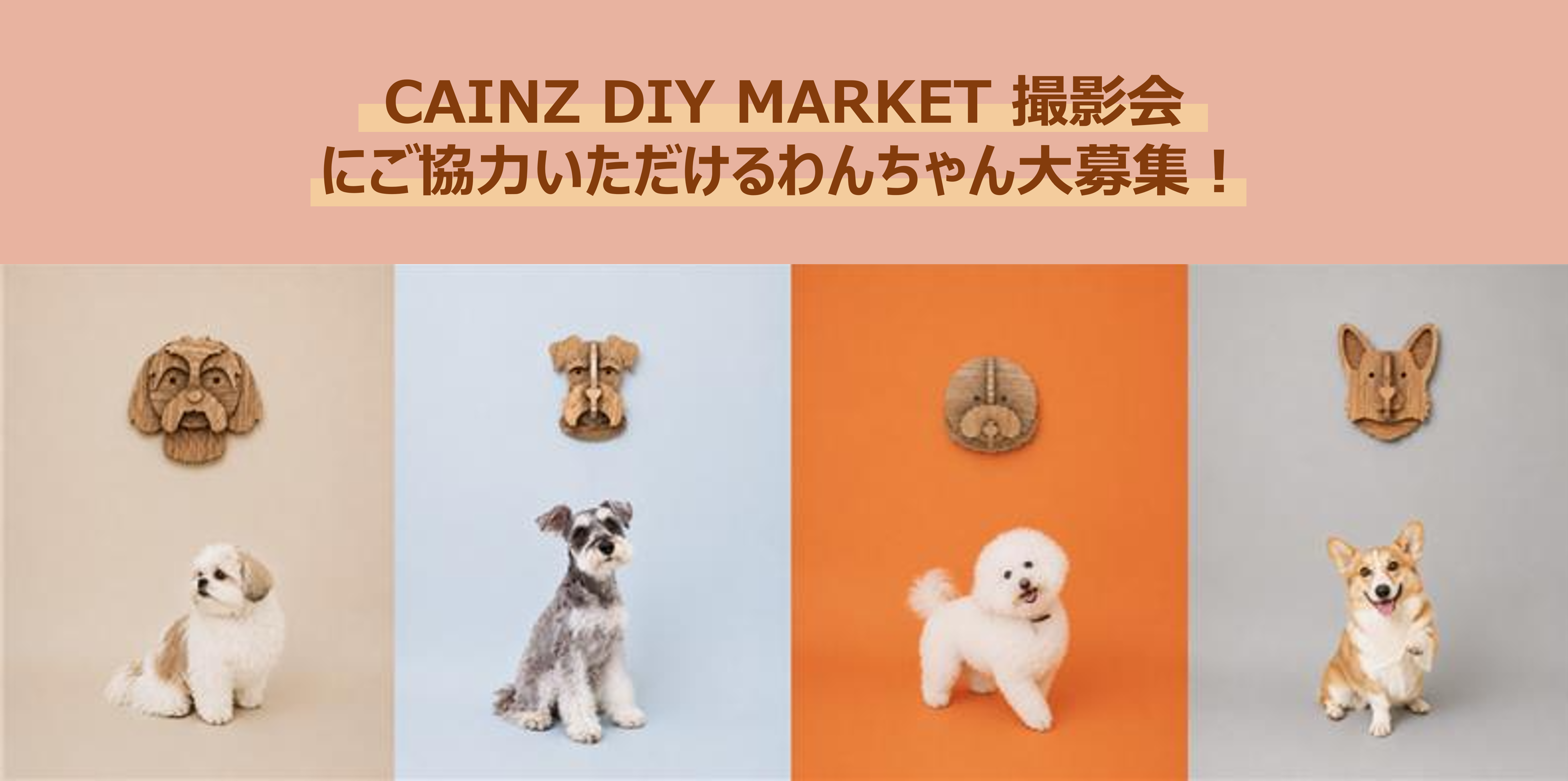 CAINZ DIY MARKET撮影会にご協 | CAINZ DIY Square