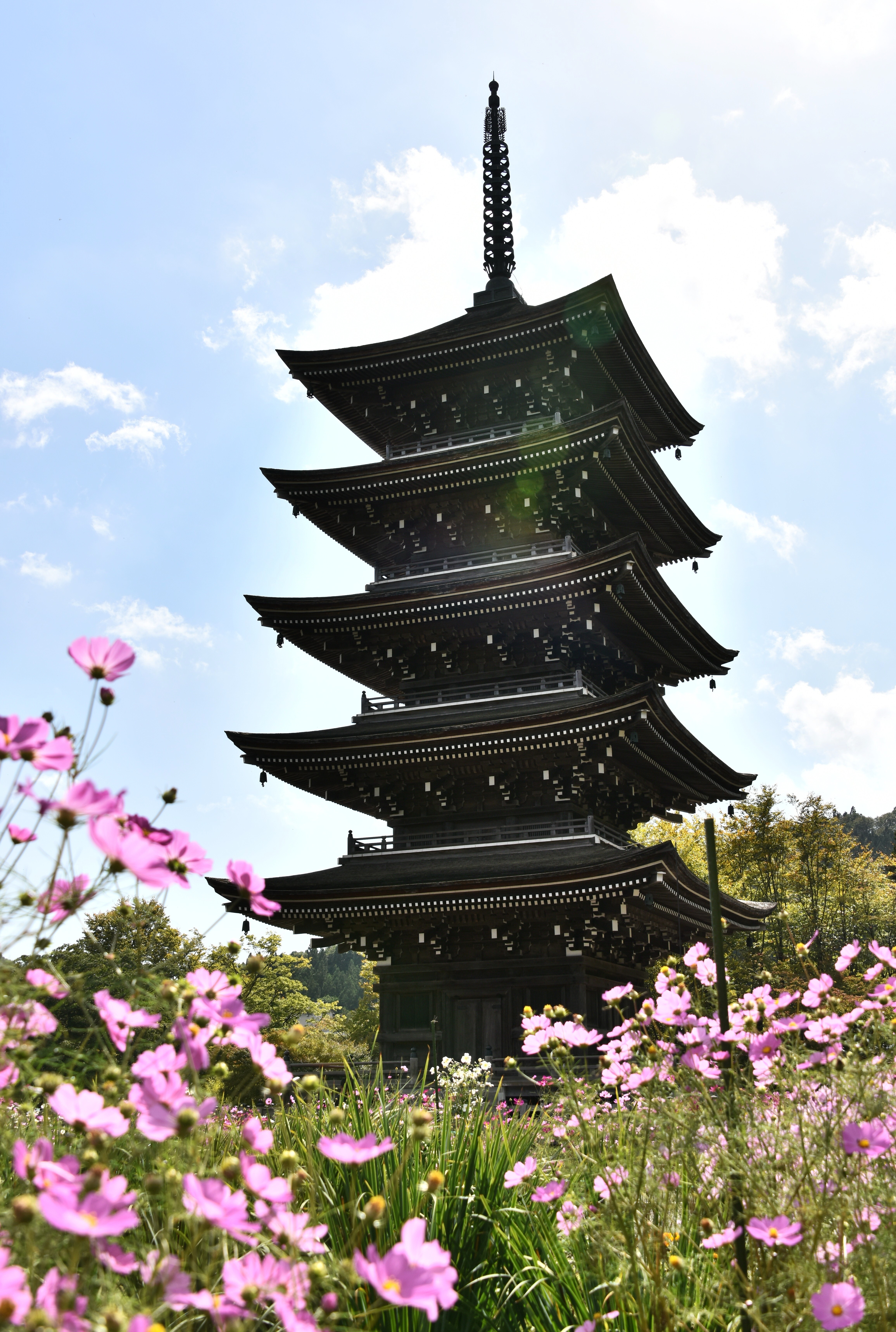 定義山五重塔 | PHOTO HUB by nikkor club