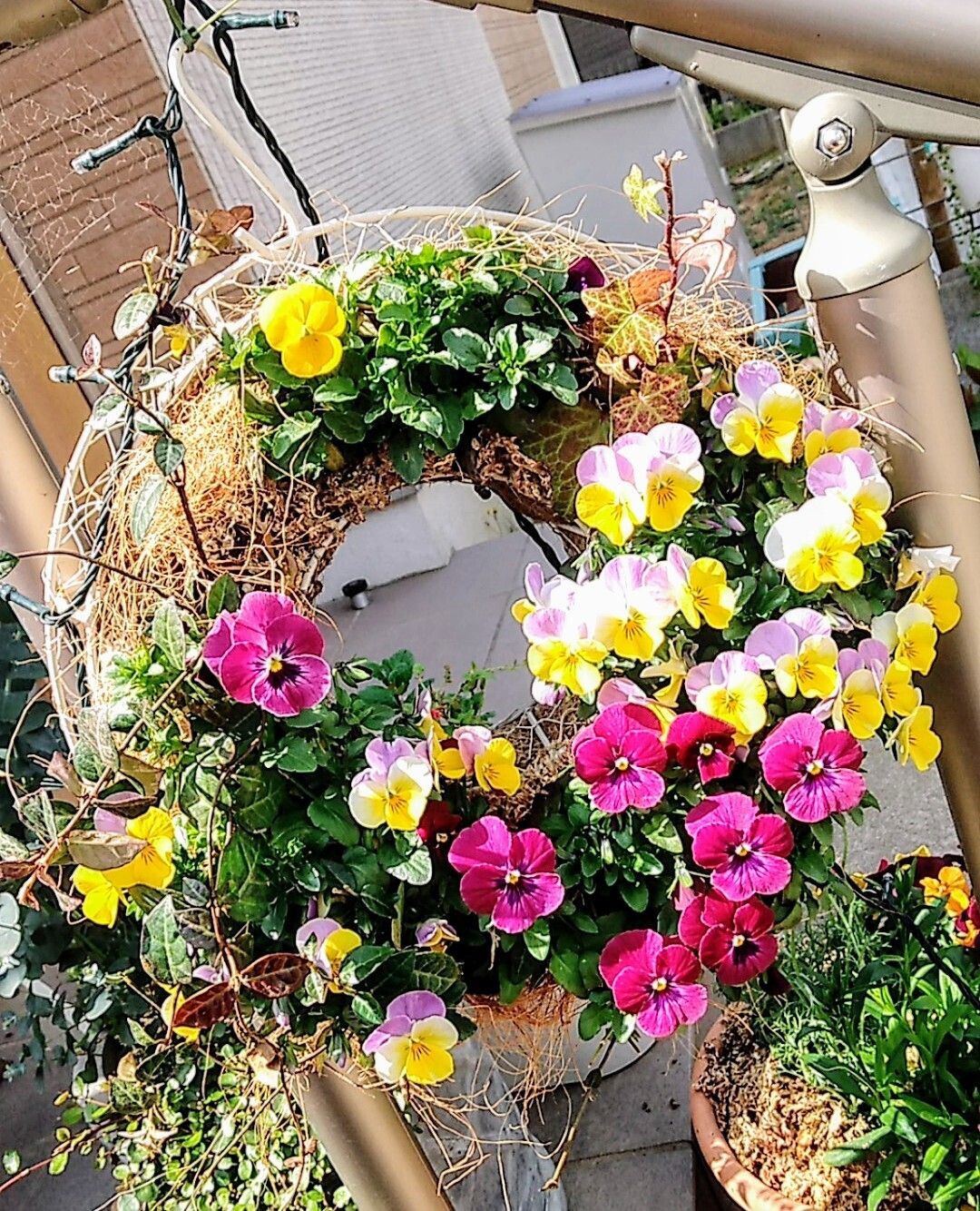 ビオラの寄せ植えリース🌿🌸 | CAINZ DIY Square