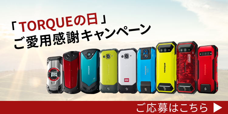 即購入不可×　銀魂　とるナビキャンペーン　当選　感謝状 藤商事 on X: 