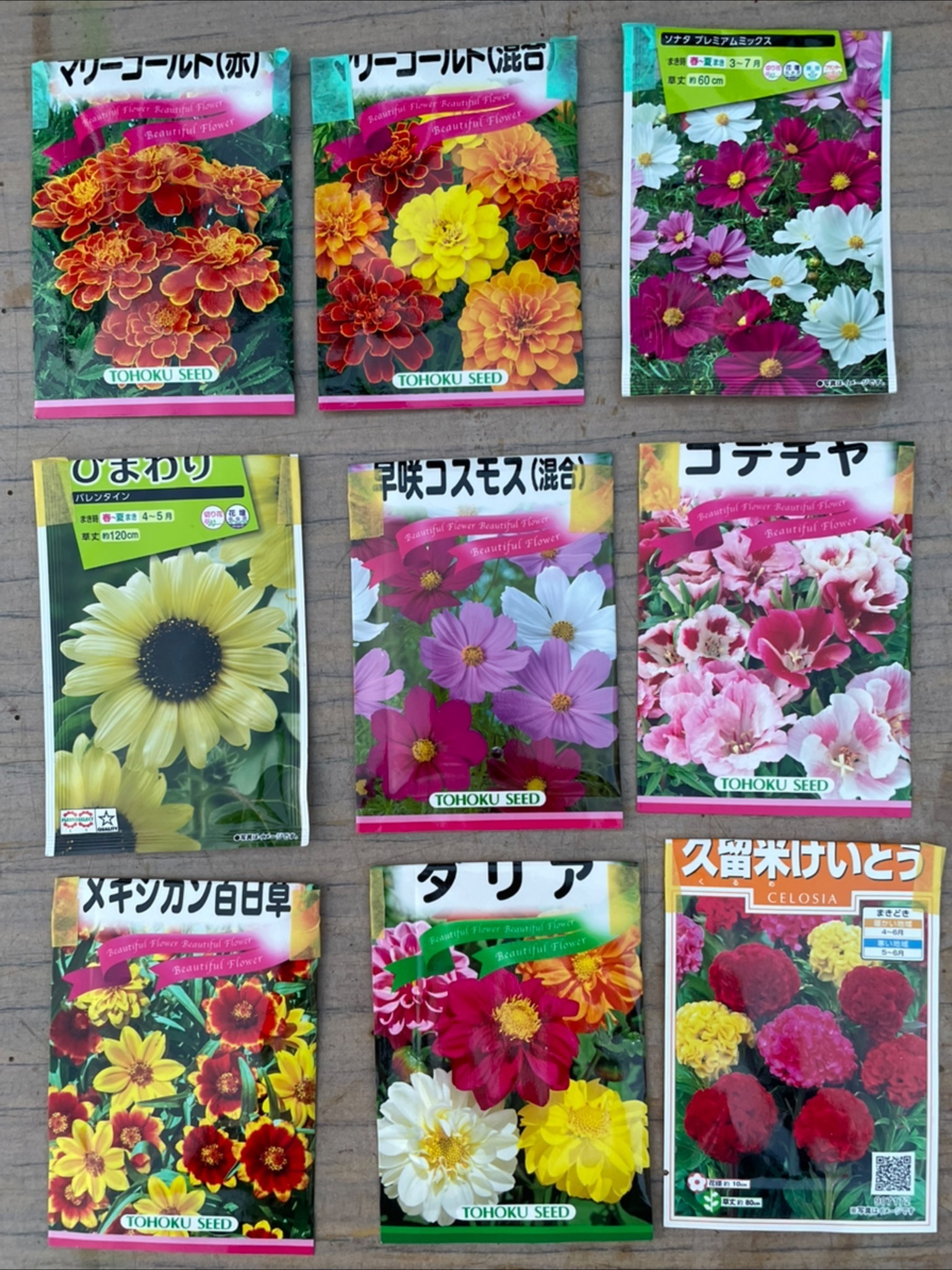 9種の春蒔きの種、どう蒔くか計画。 | CAINZ DIY Square