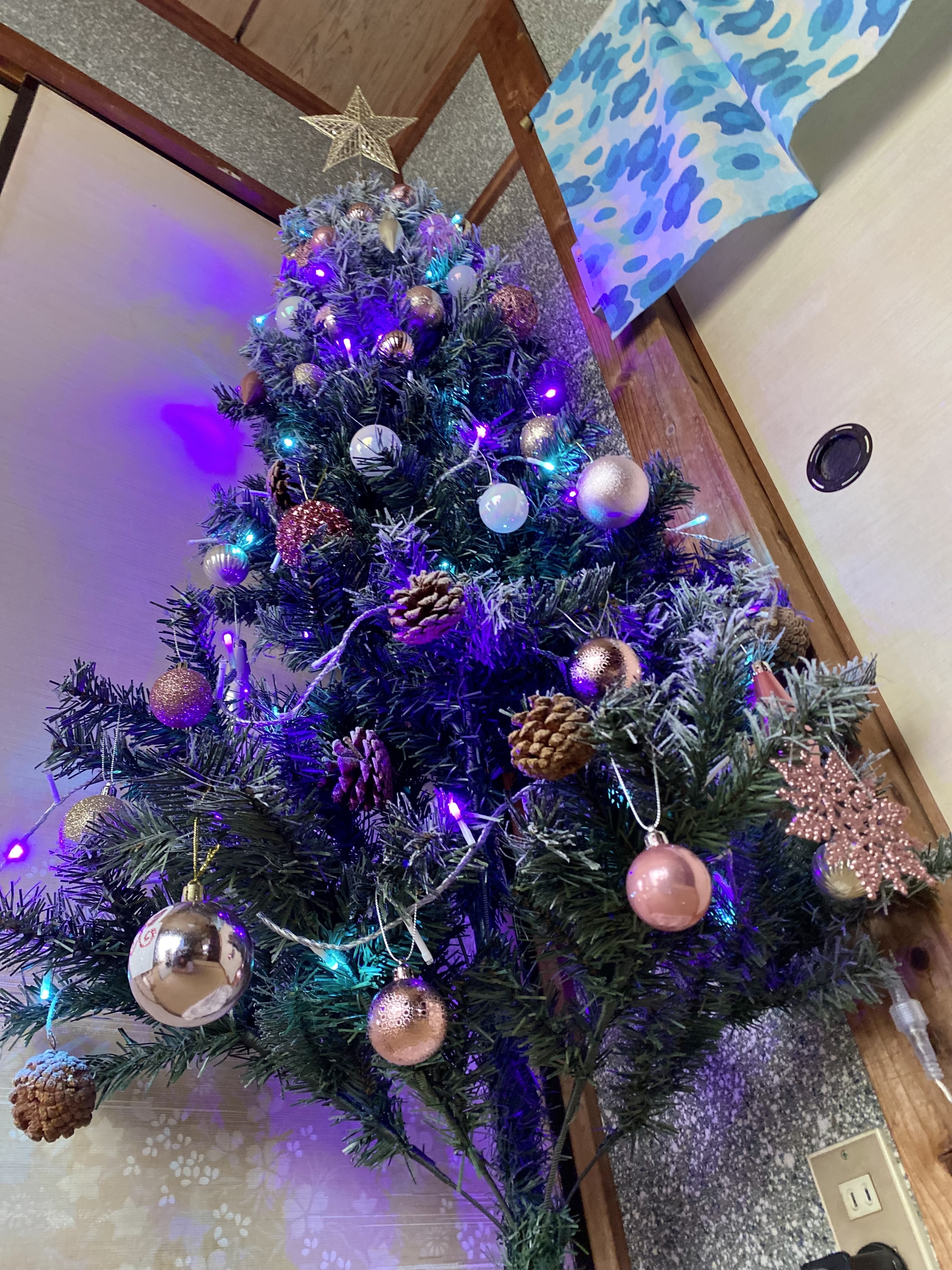 クリスマスツリー ピンク 紫 中型❣️まとめ依頼❣️ クリスマスツリー ピンク 紫 中型❣️まとめ依頼❣️ Amazon.co