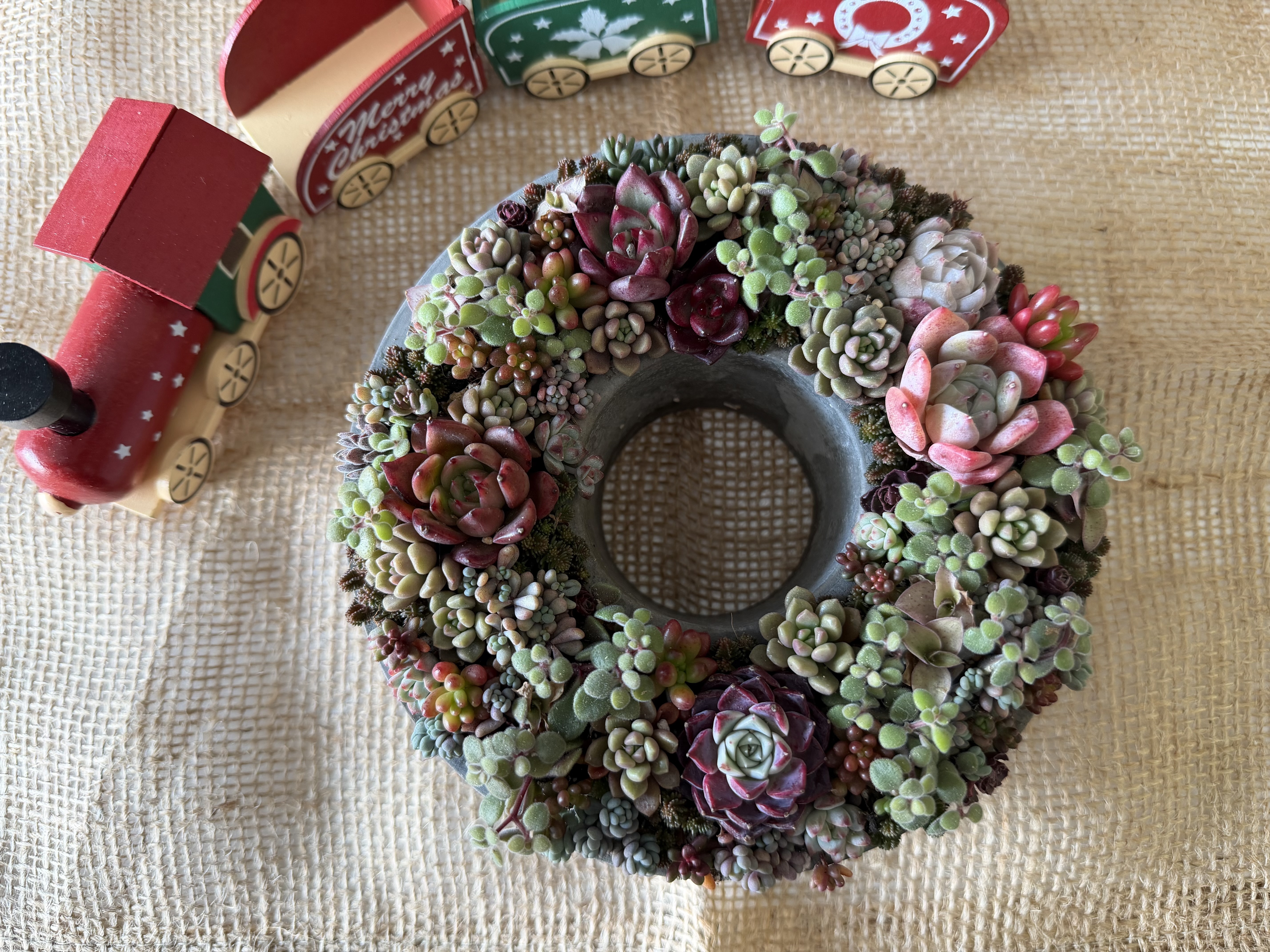  Amuseable デコレーション クリスマスリース 多肉のクリスマスリース2️⃣🎄 | CAINZ DIY Square
