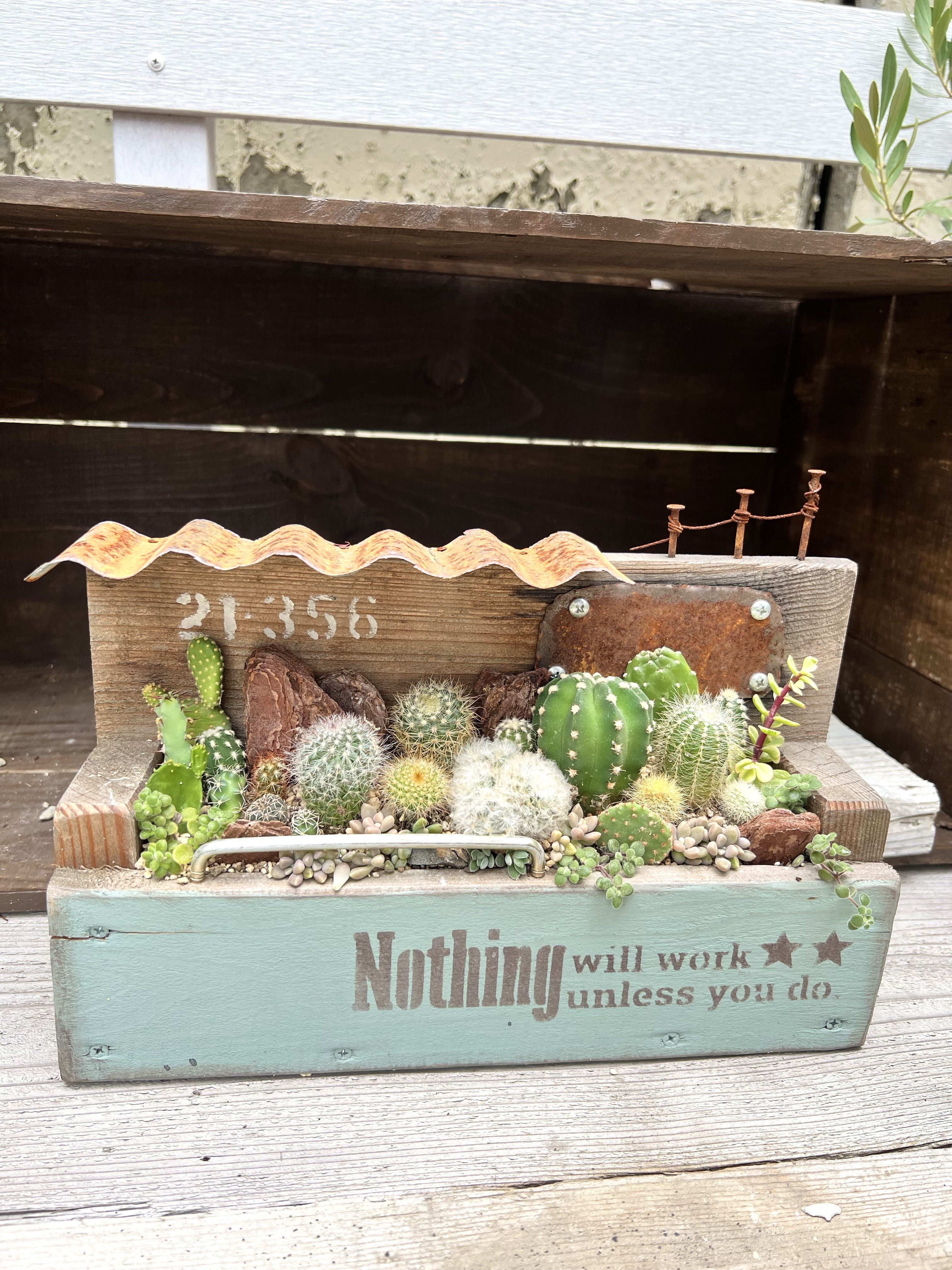 サボテン🌵寄せ植え | CAINZ DIY Square