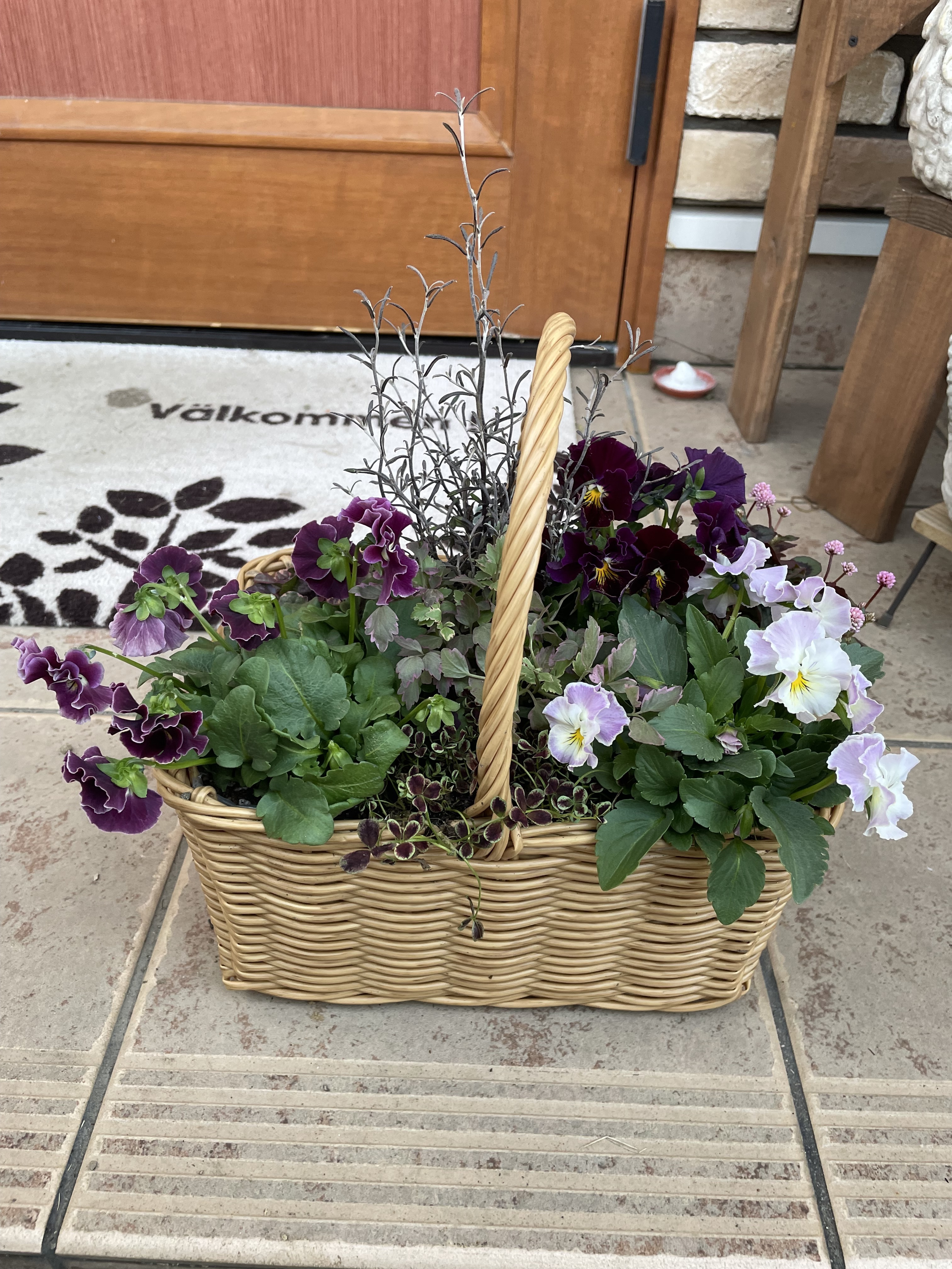 寄せ植え🌸 | CAINZ DIY Square