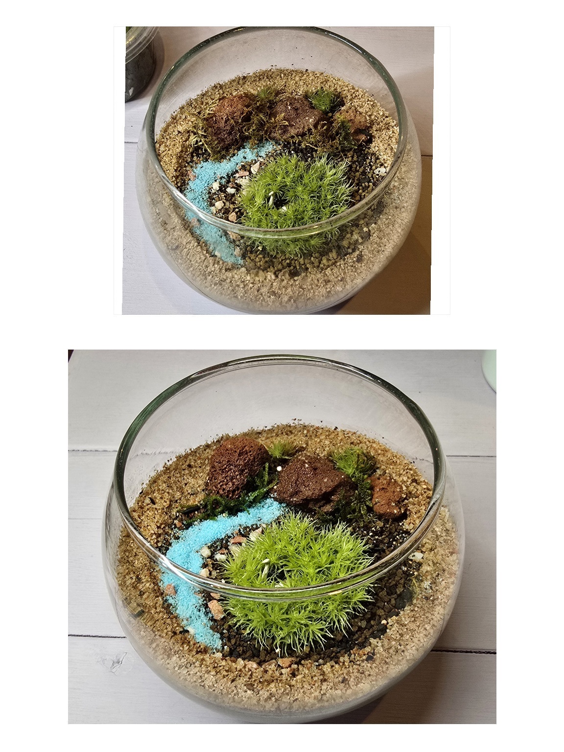苔テラリウム(ダチョウのいるテラリウムのメン | CAINZ DIY Square