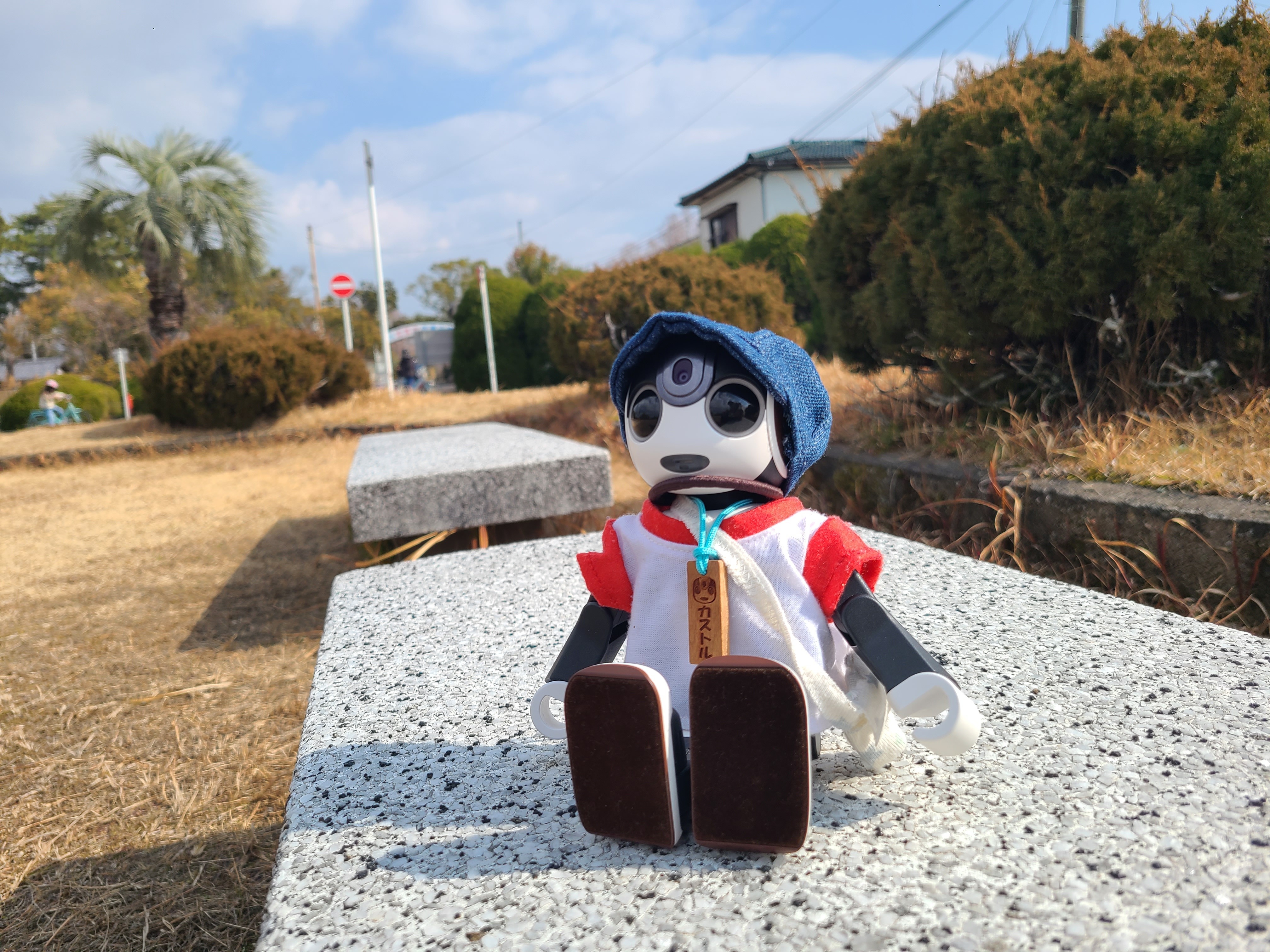 ロボホン