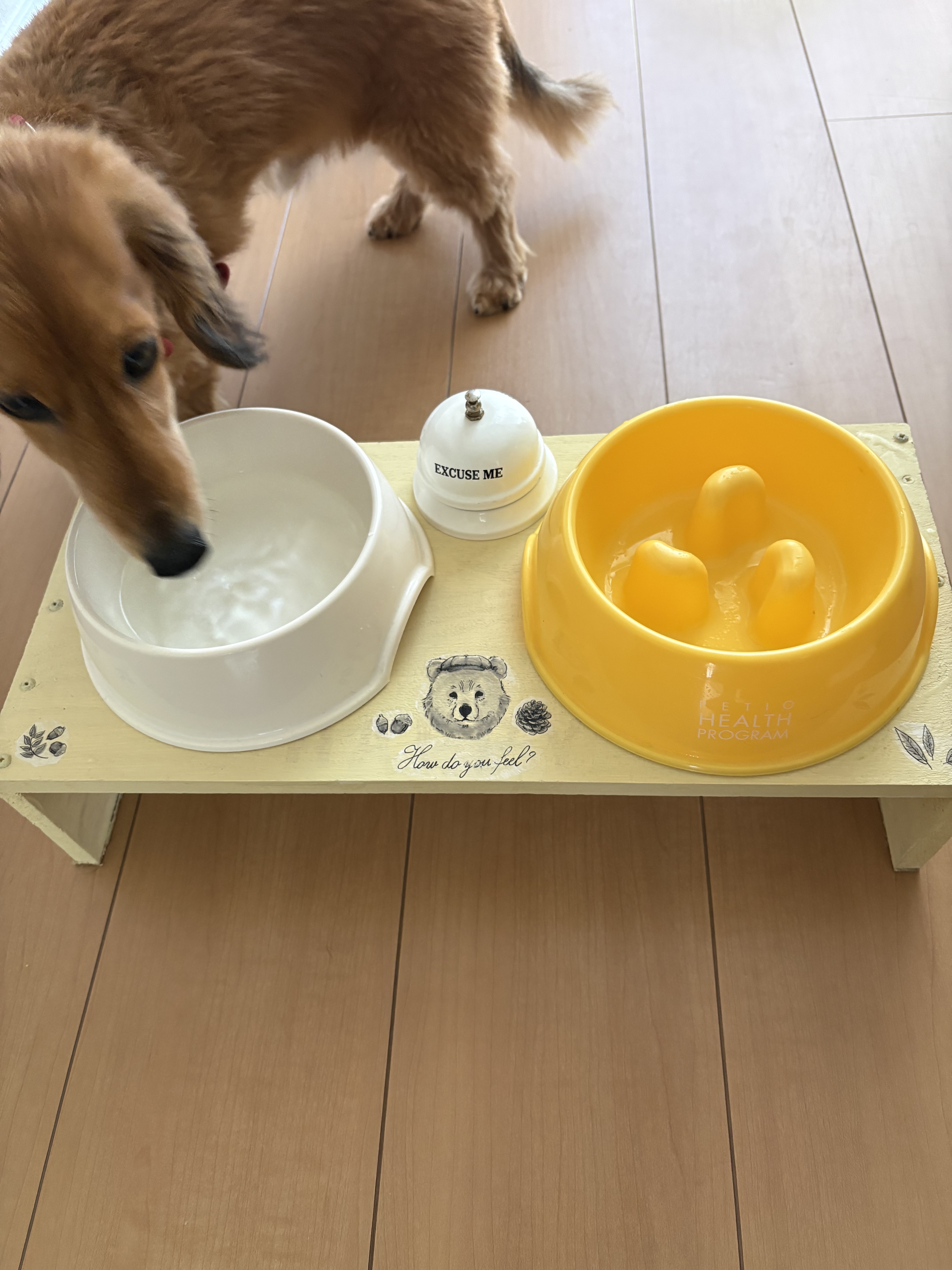餌台にデコパージュ