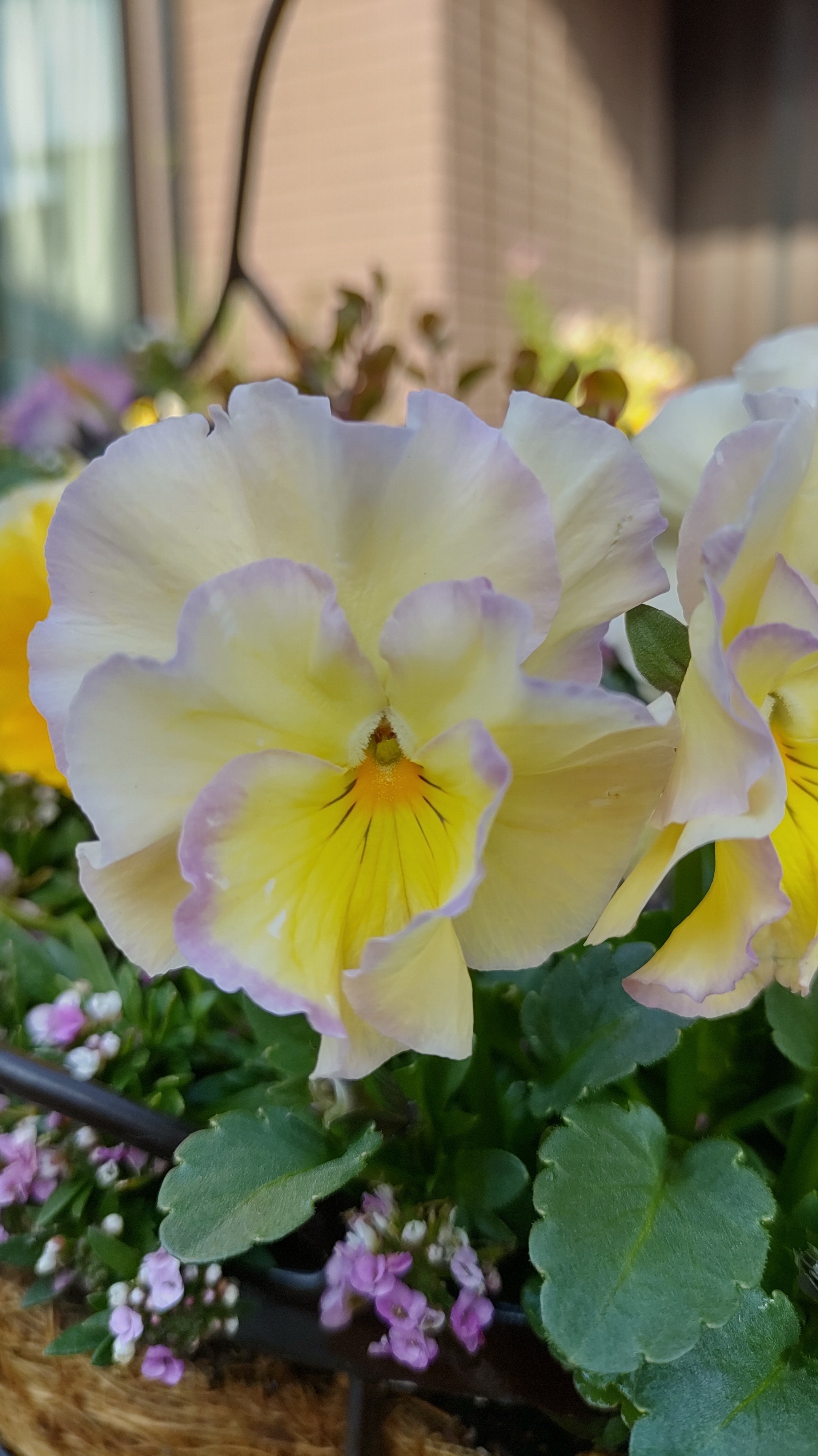 8859d314-a8b4-48d3-b5fa-