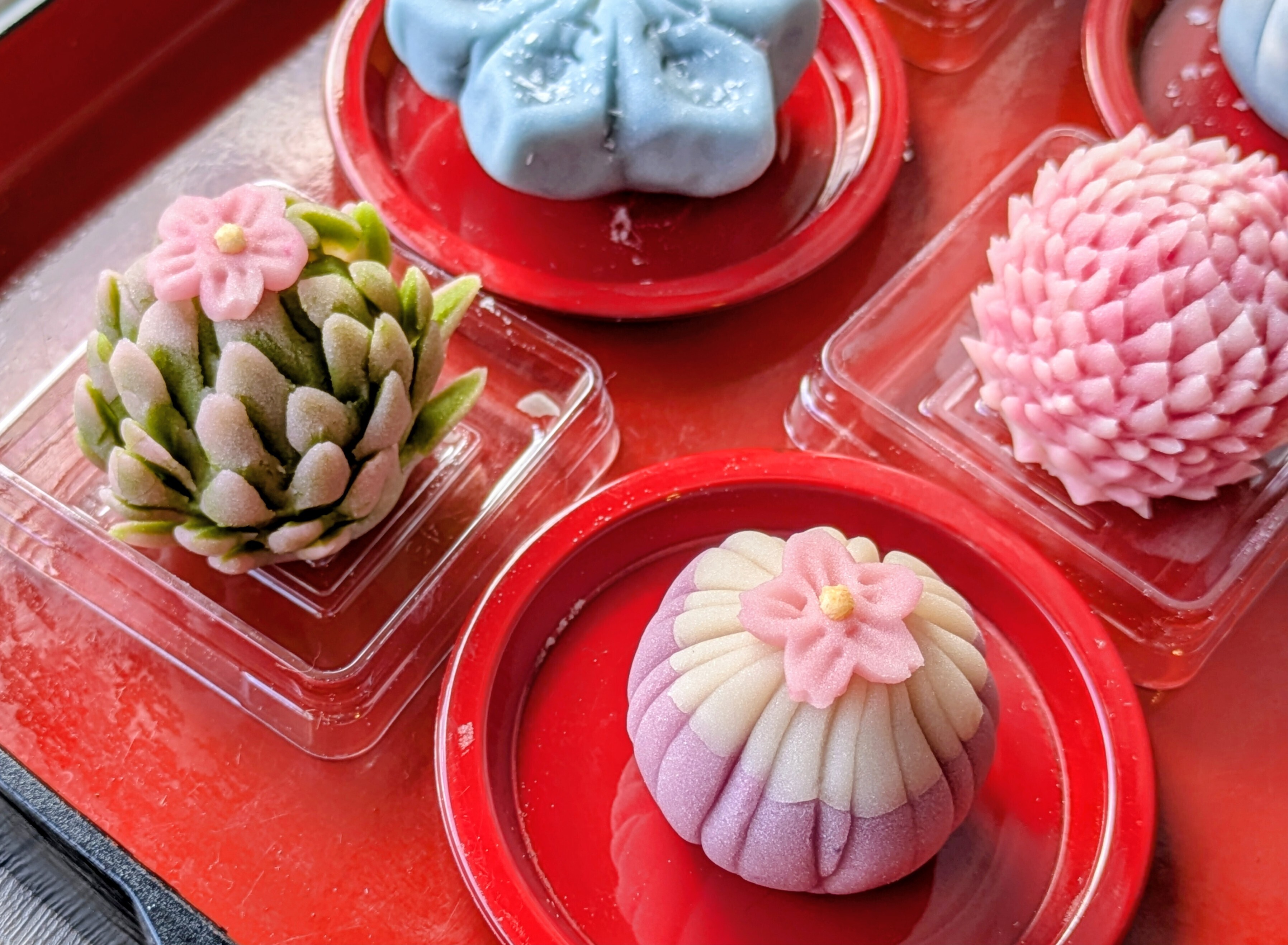 練り切り和菓子【菊の花】 | CAINZ DIY Square