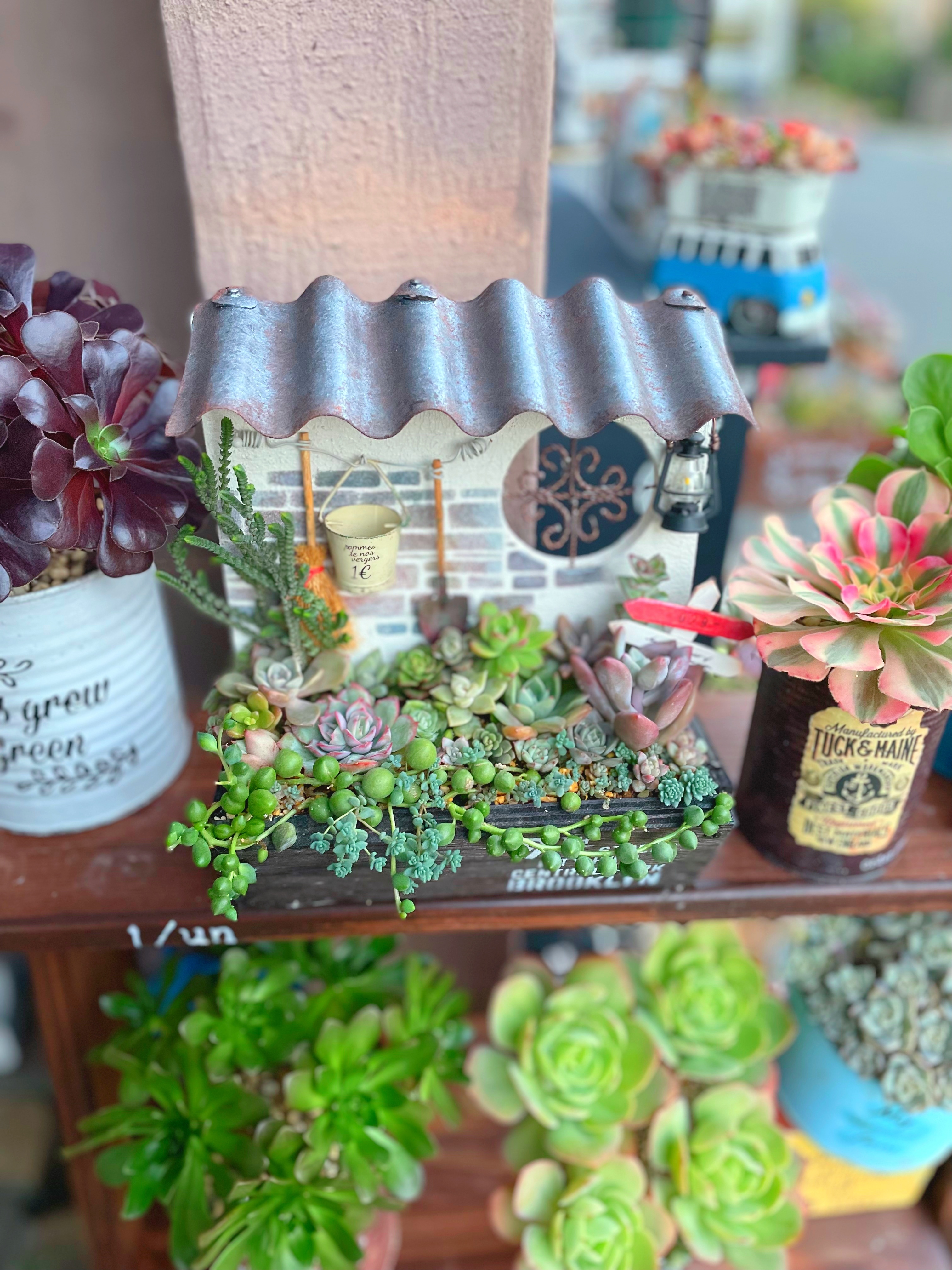 おうち型多肉プランターの手直し🎶 | CAINZ DIY Square