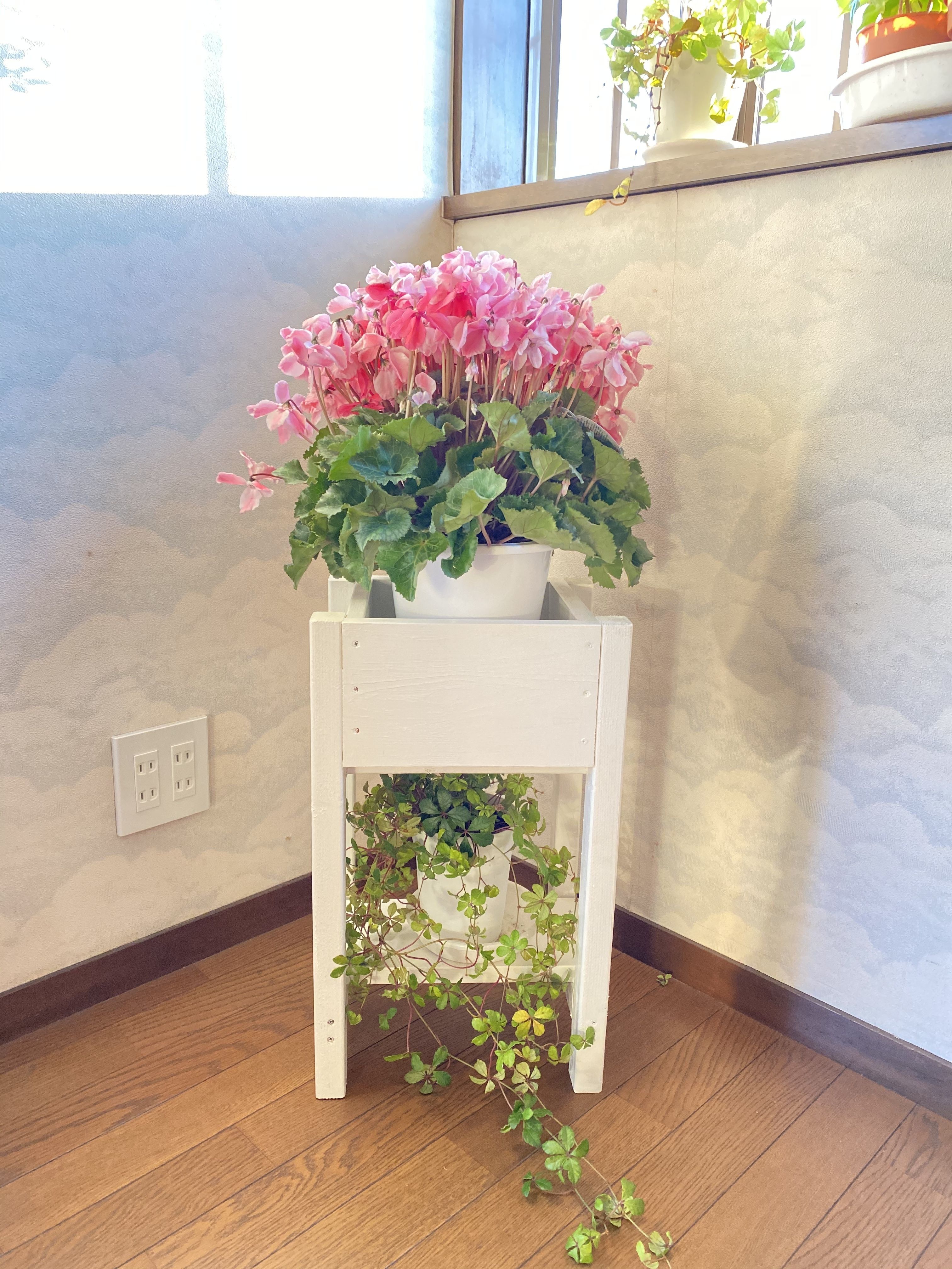 フラワースタンド　ウェルカムスペースにて使用 楽天市場】ウェルカムスペースセット ウェルカムスペース写真