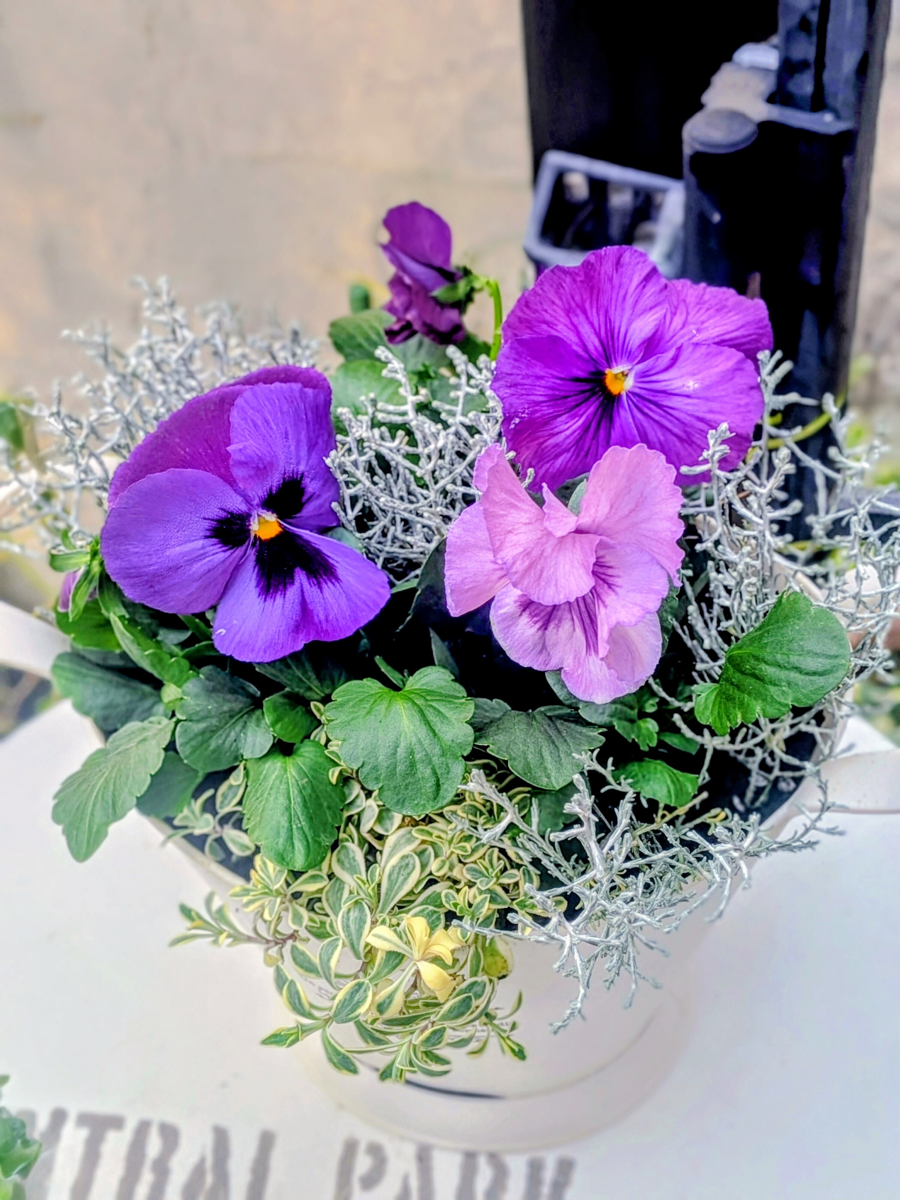 お花の寄せ植え🌸🌼 | CAINZ DIY Square