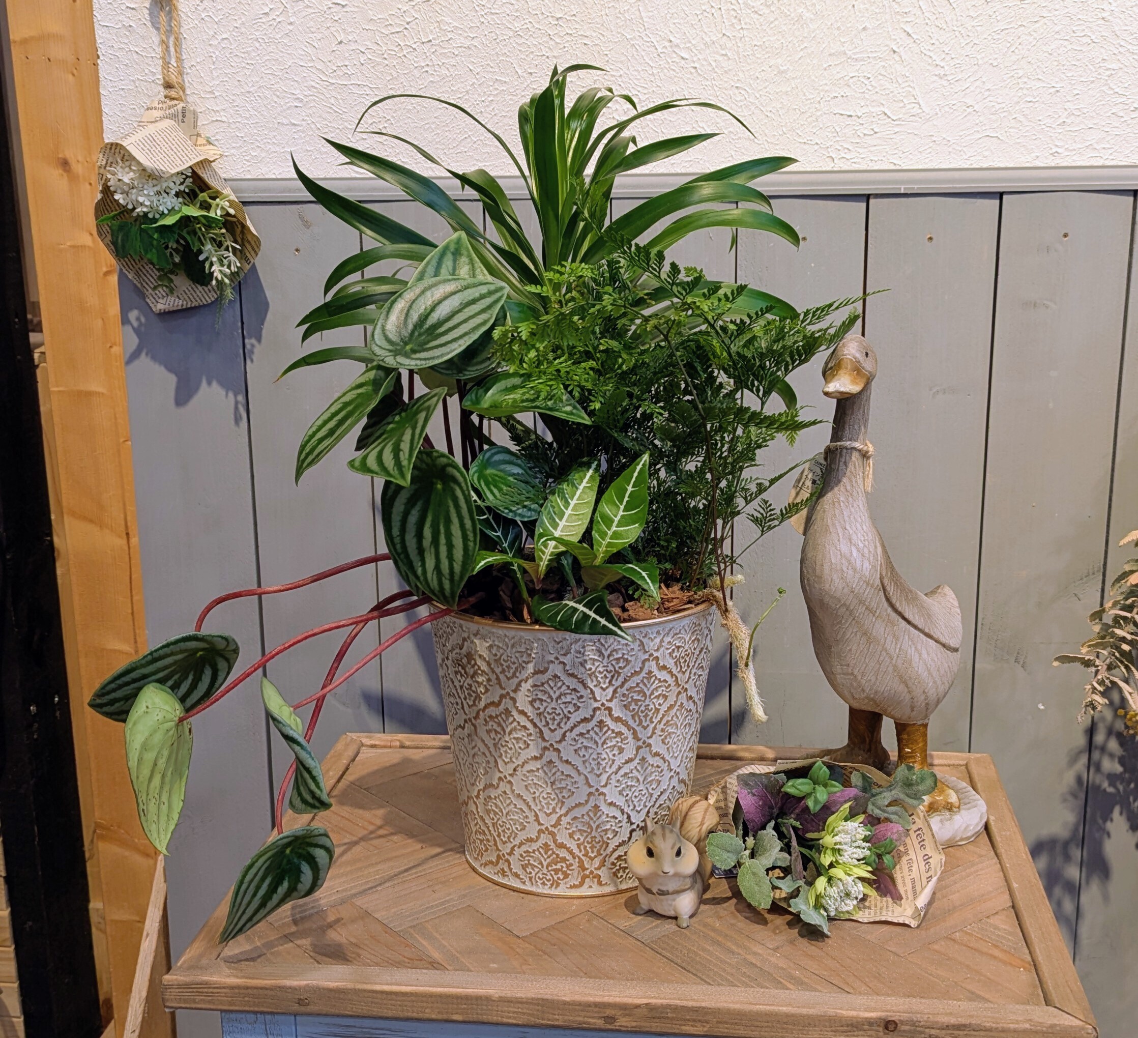 ブリキ鉢の観葉寄せ植え🪴 | CAINZ DIY Square