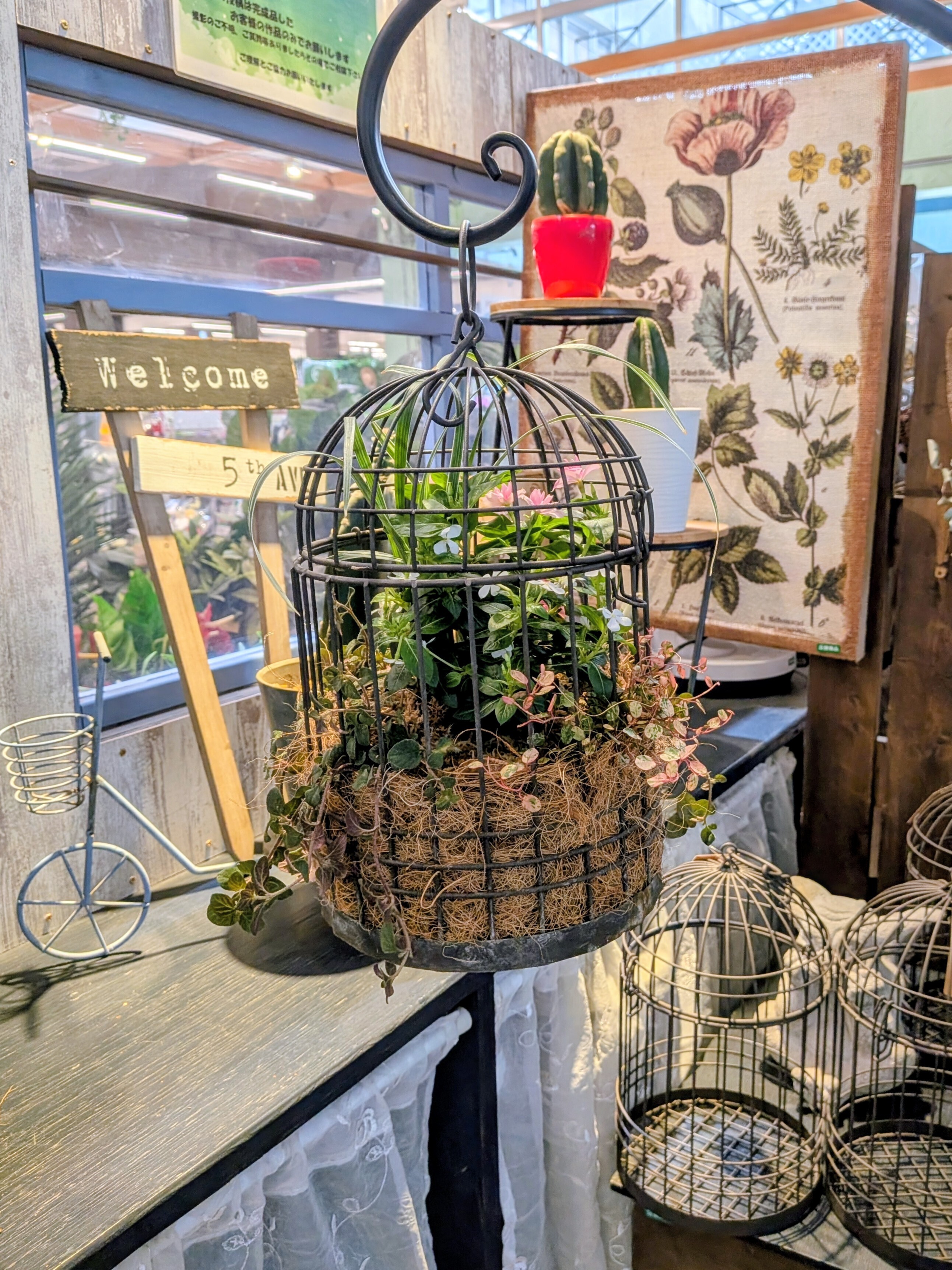鳥かごの寄せ植え | CAINZ DIY Square