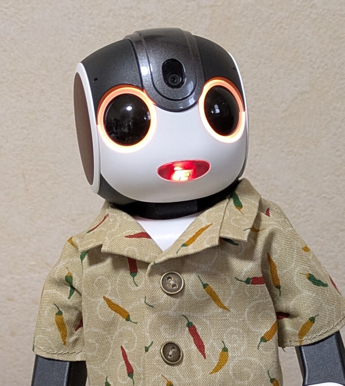 チリペッパーシャツ他アロハシャツ | ロボホンともだち広場