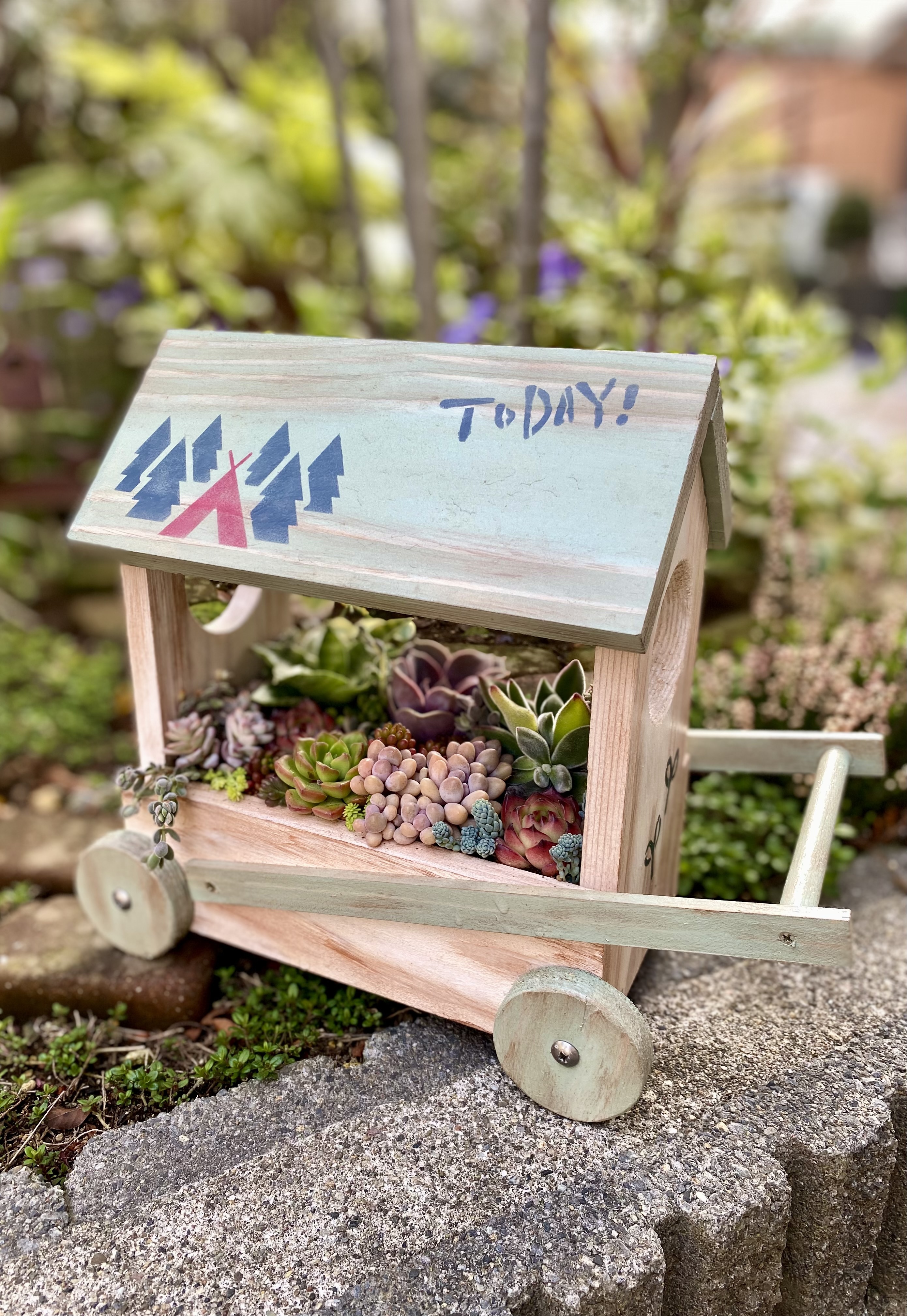 多肉植物　寄せ植え　ワゴン 多肉ﾌﾗﾜｰﾜｺﾞﾝに寄植えてみました | CAINZ DIY Square