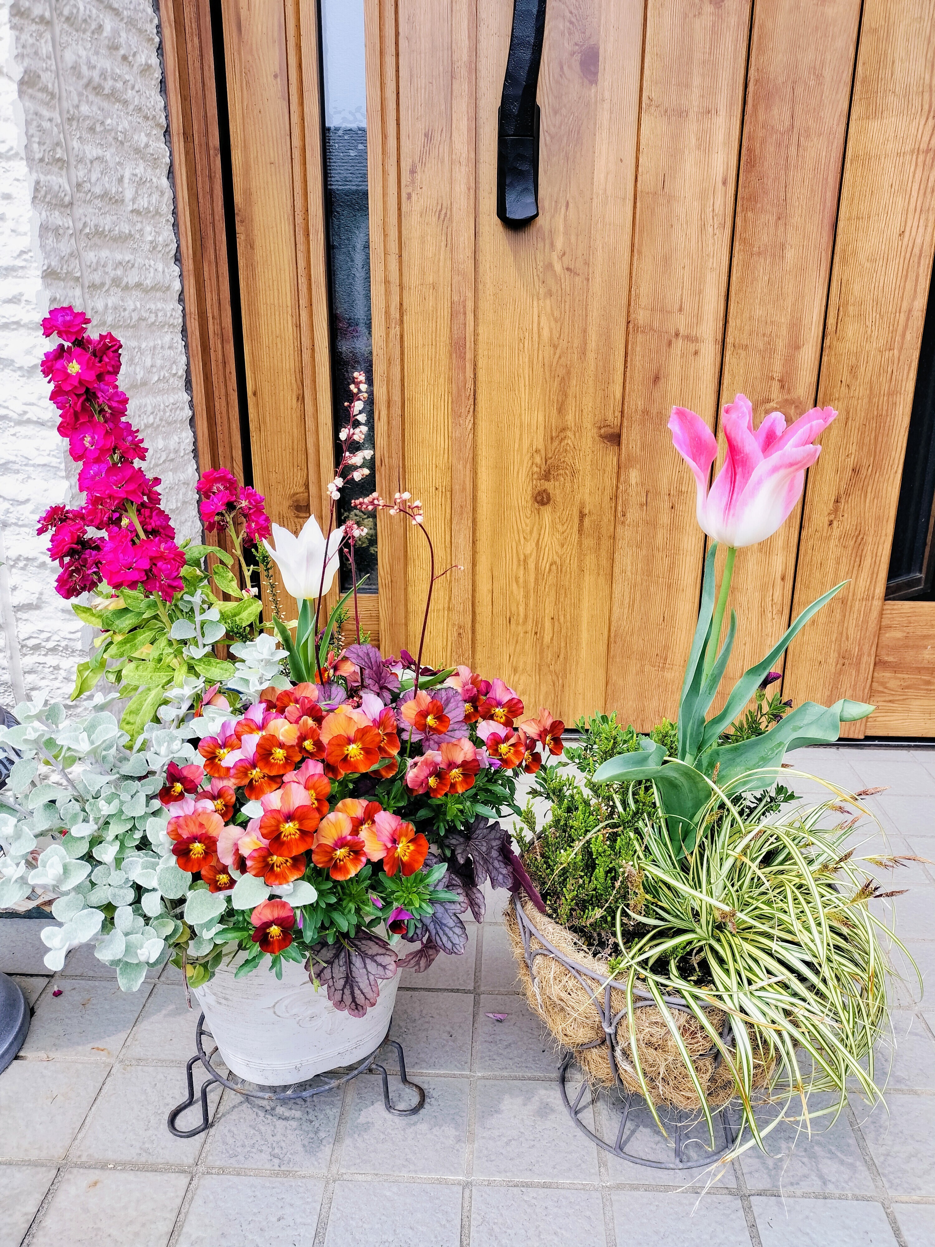 秋から楽しめる球根寄せ植え GWS 球根開花 | CAINZ DIY Square