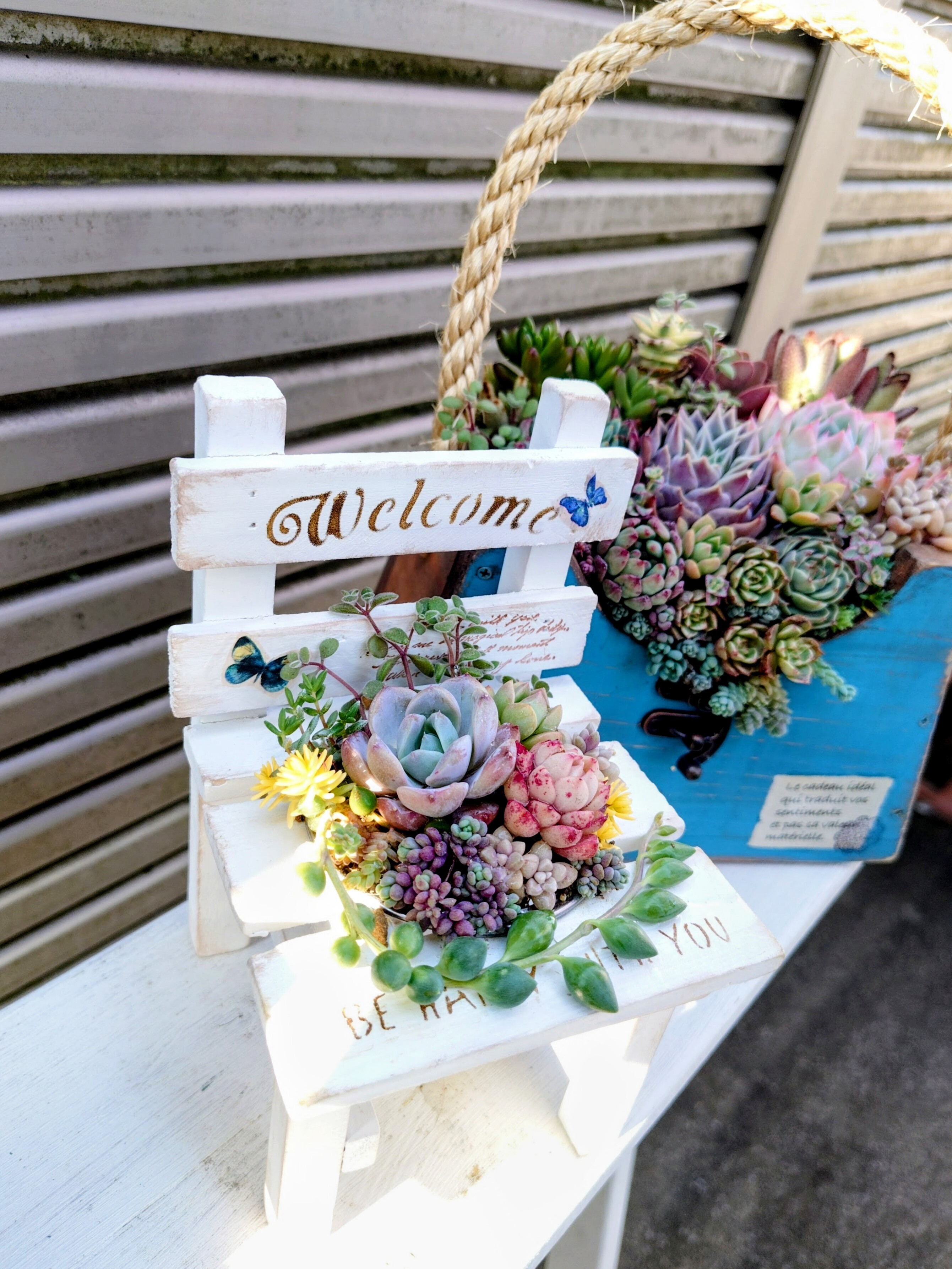 ミニチェア🪑に寄植え💕 | CAINZ DIY Square