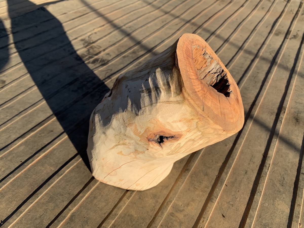 木の皮 bc525c76-ddb5-409b-988a-