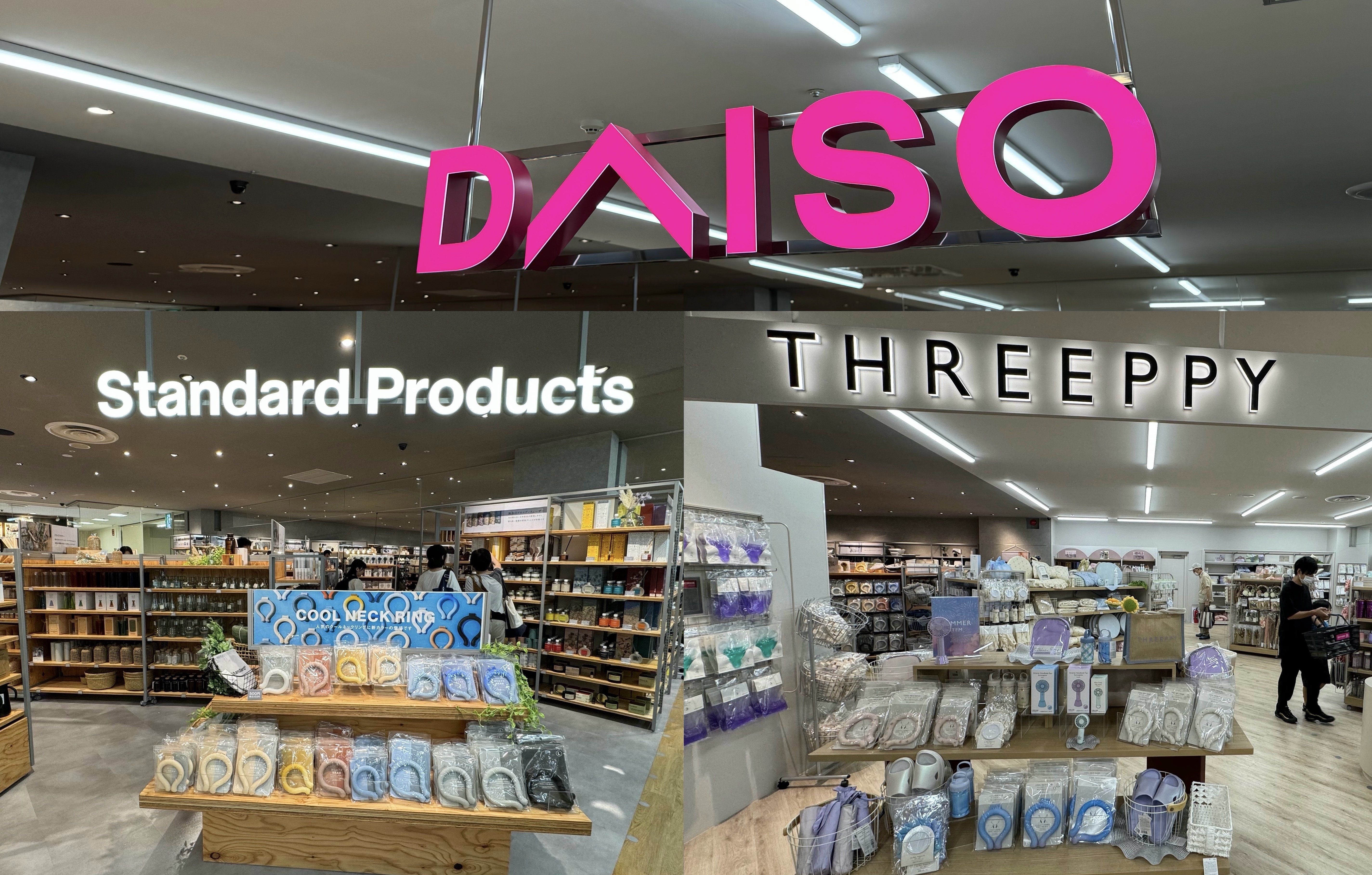活動歴および当時の関連ビジュアル記録