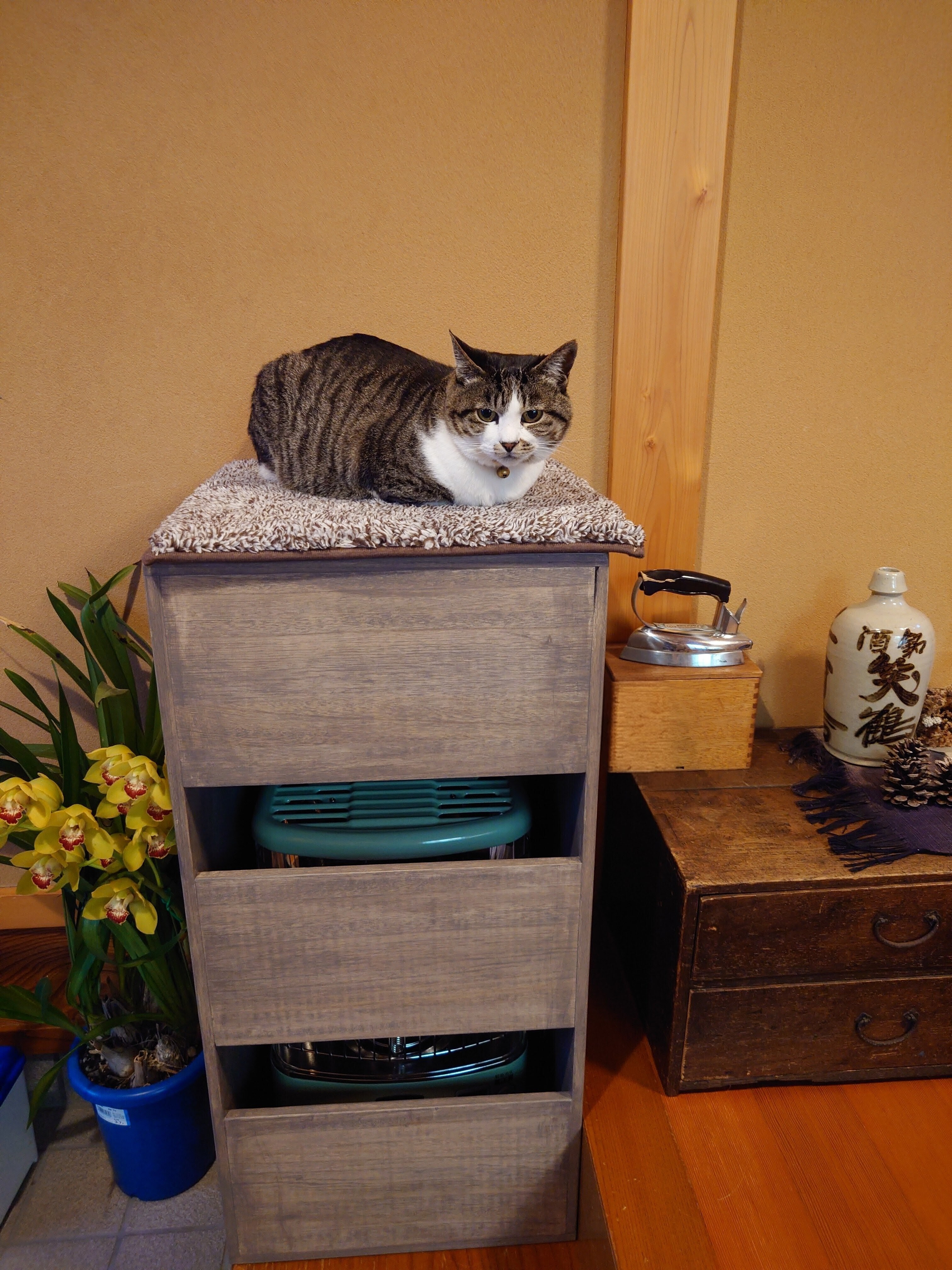 〜 見張り台 兼 夏季ストーブ収納箱 〜