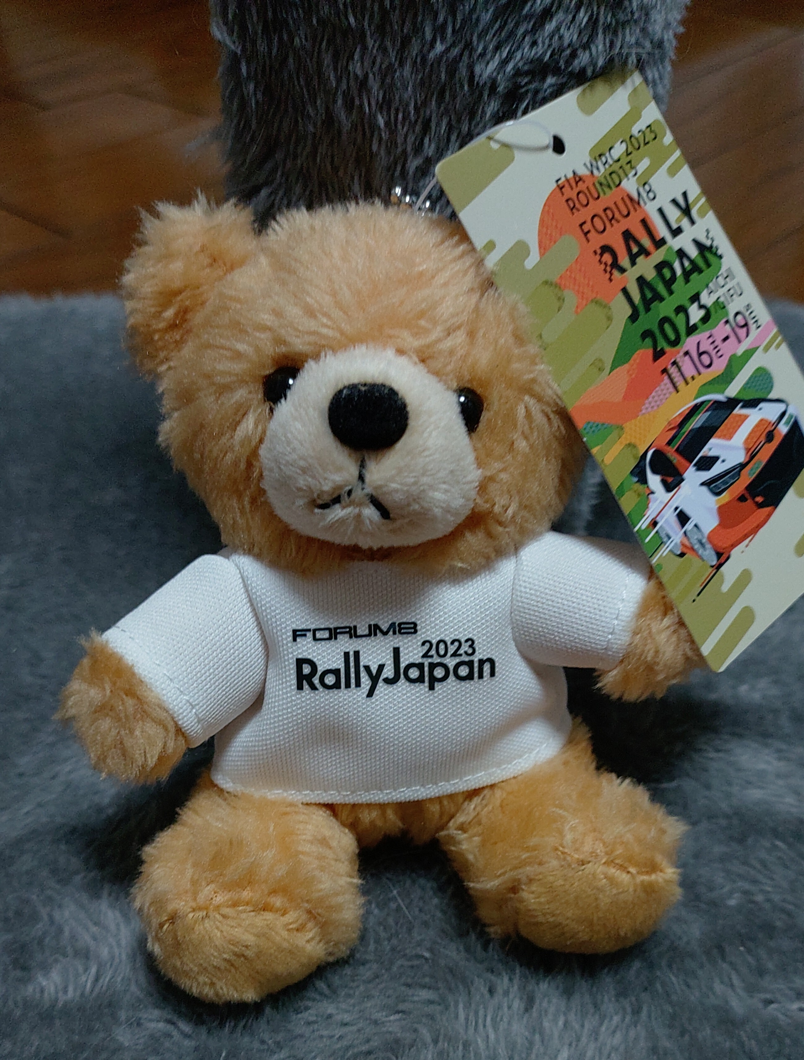 くまさん来た〜❗ | TORQUE STYLE