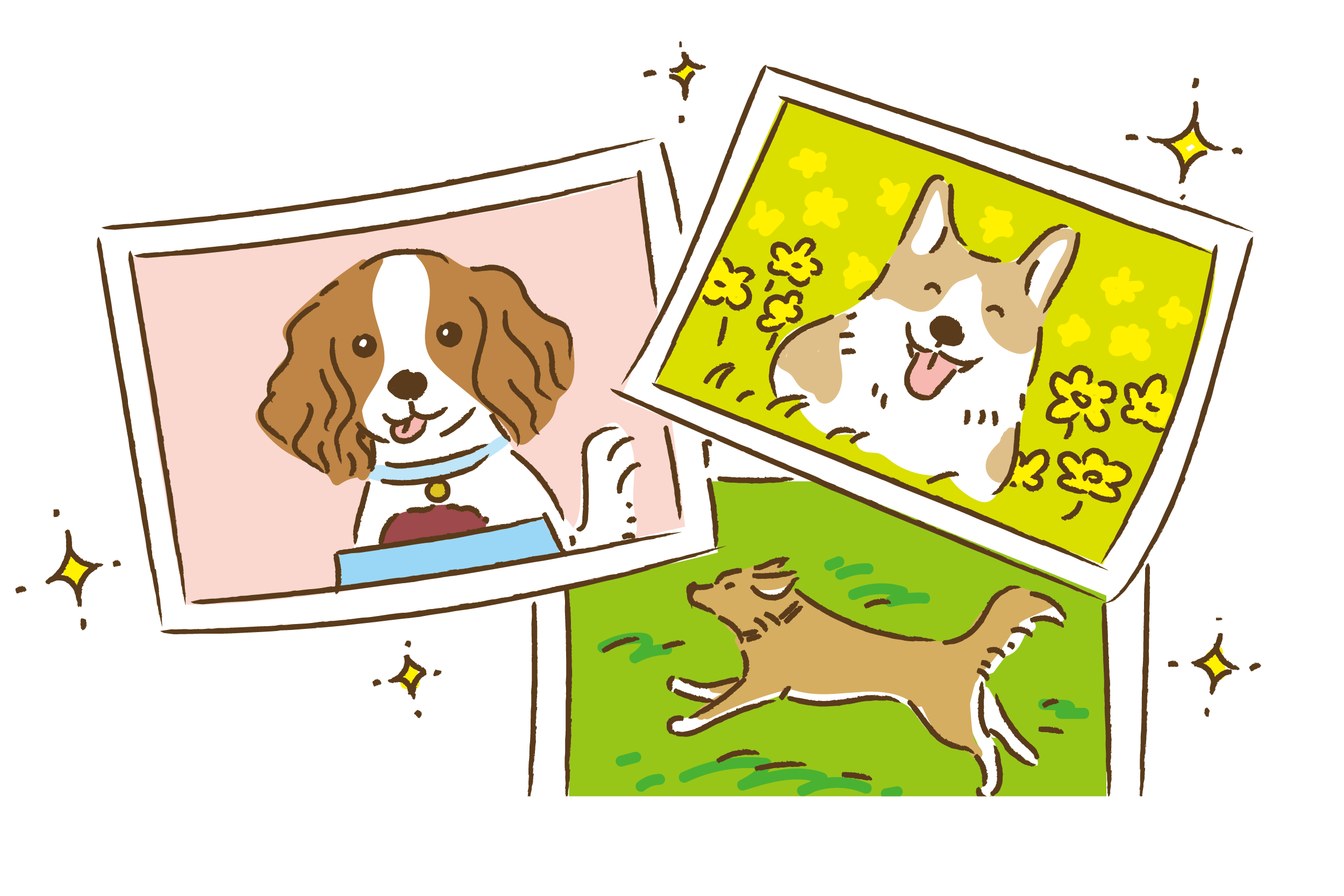 うちの子活動報告