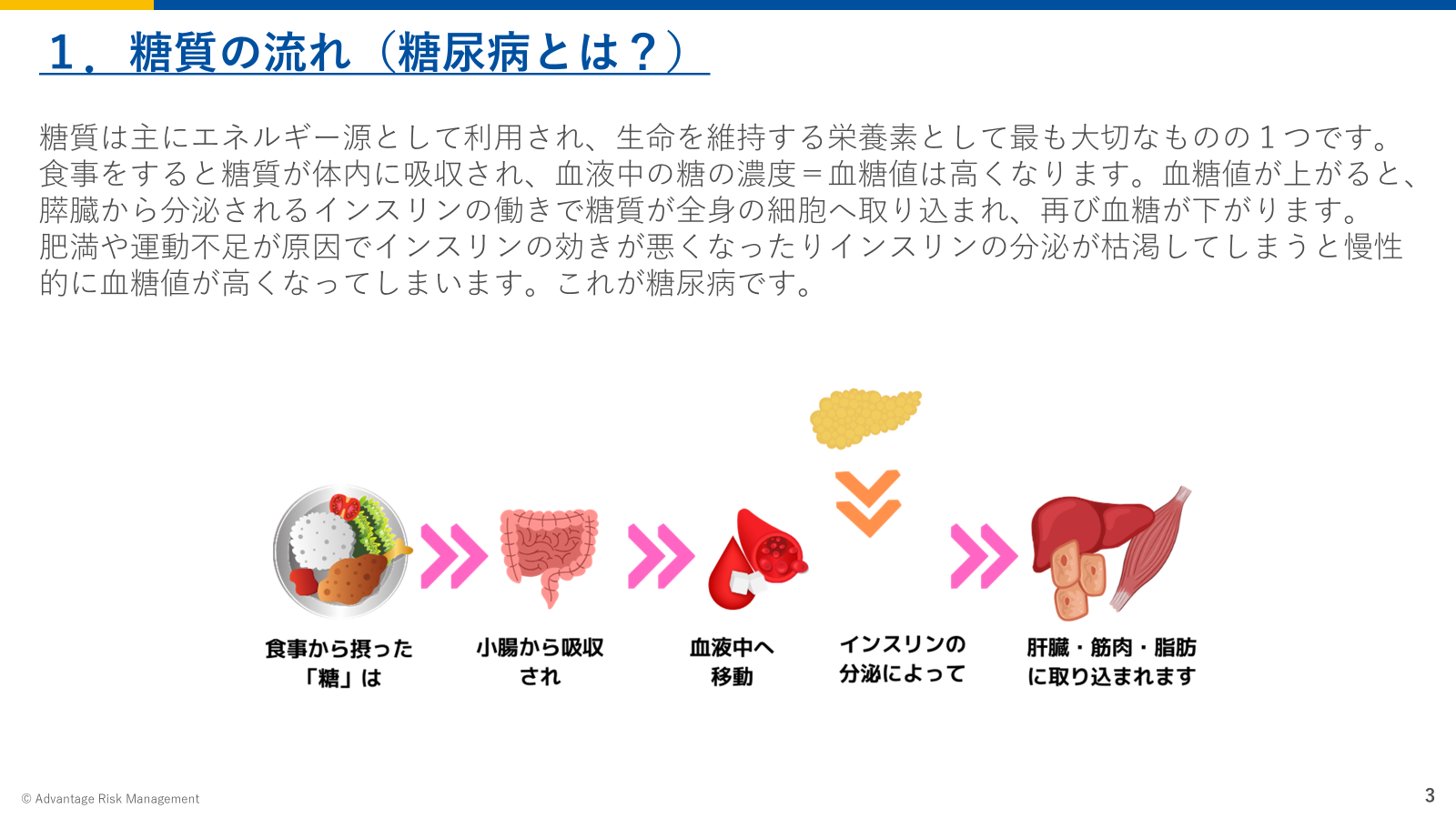 糖質の流れ（糖尿病とは？）