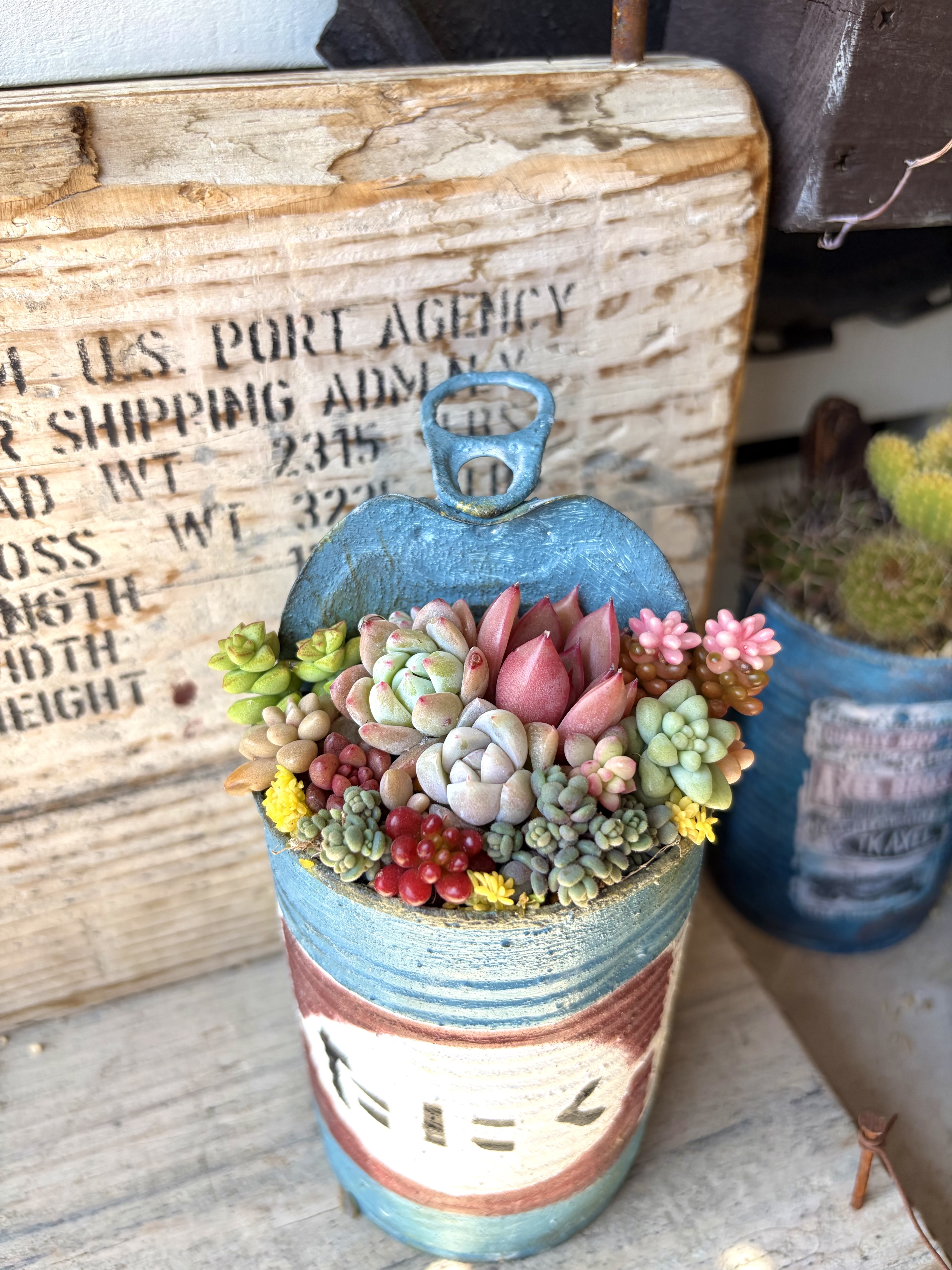 リメイク缶 / 499 リメイク缶寄せ植え♡ | CAINZ DIY Square