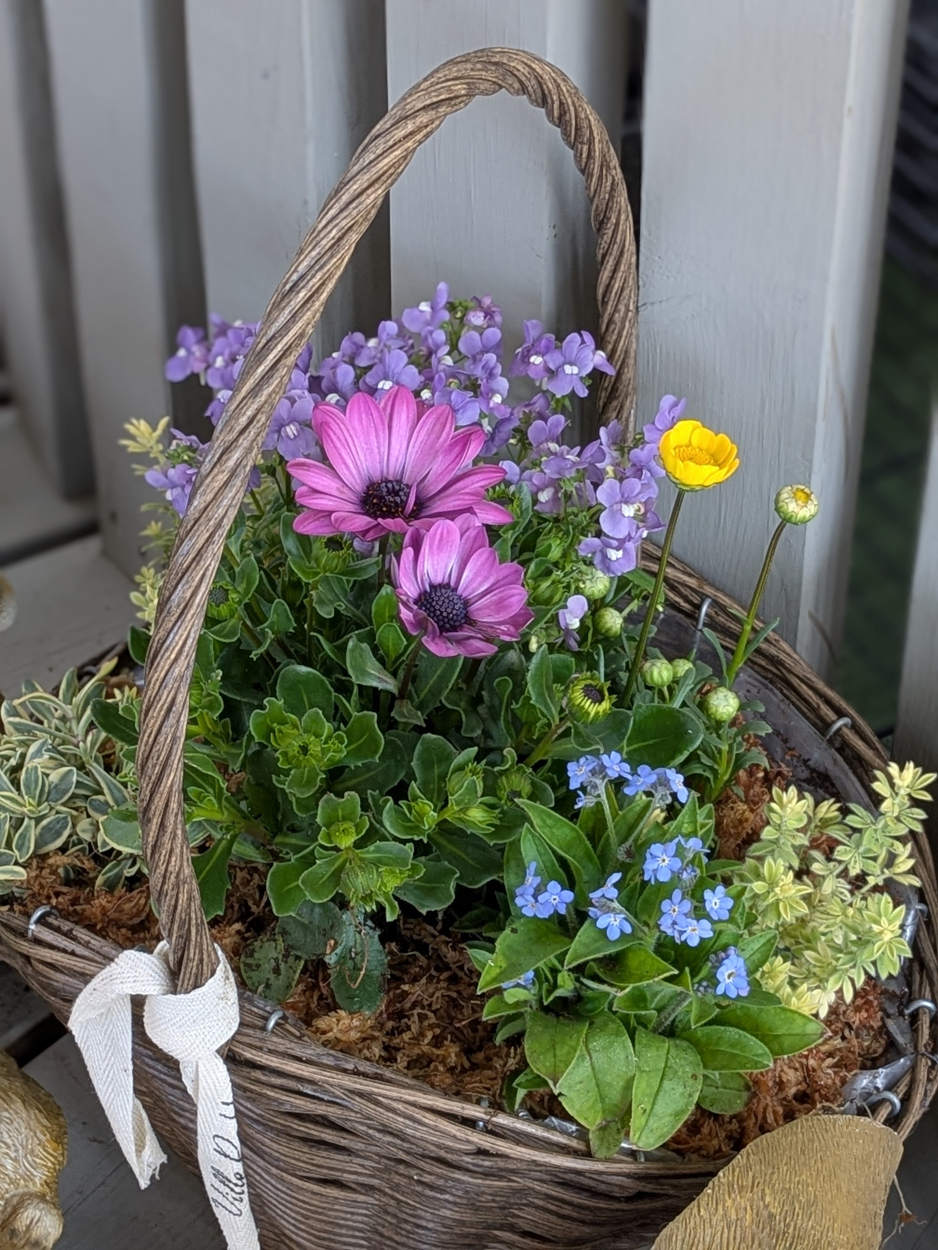 春の寄せ植えバスケット 春風のバスケット寄せ植え🩷💜 | CAINZ DIY Square