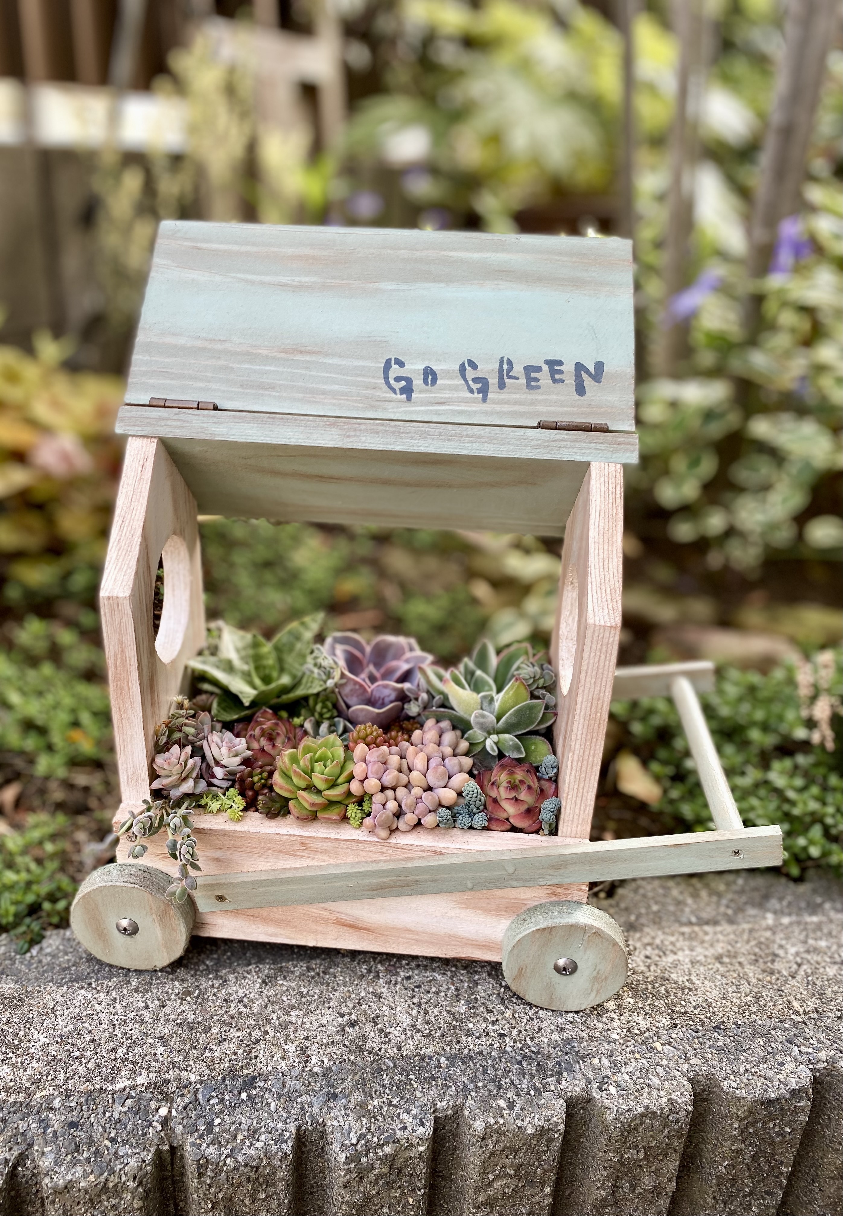 多肉ﾌﾗﾜｰﾜｺﾞﾝに寄植えてみました | CAINZ DIY Square