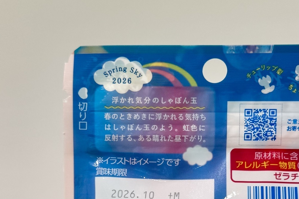 裏面のタイトルとストーリー