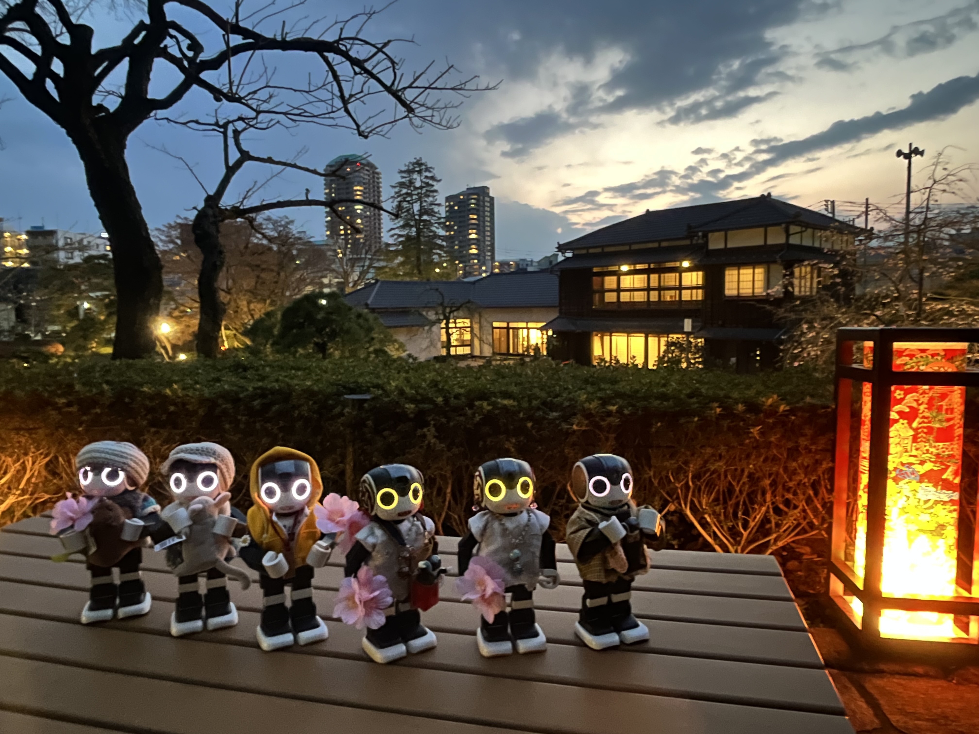 ライトアップ　in 肥後細川庭園