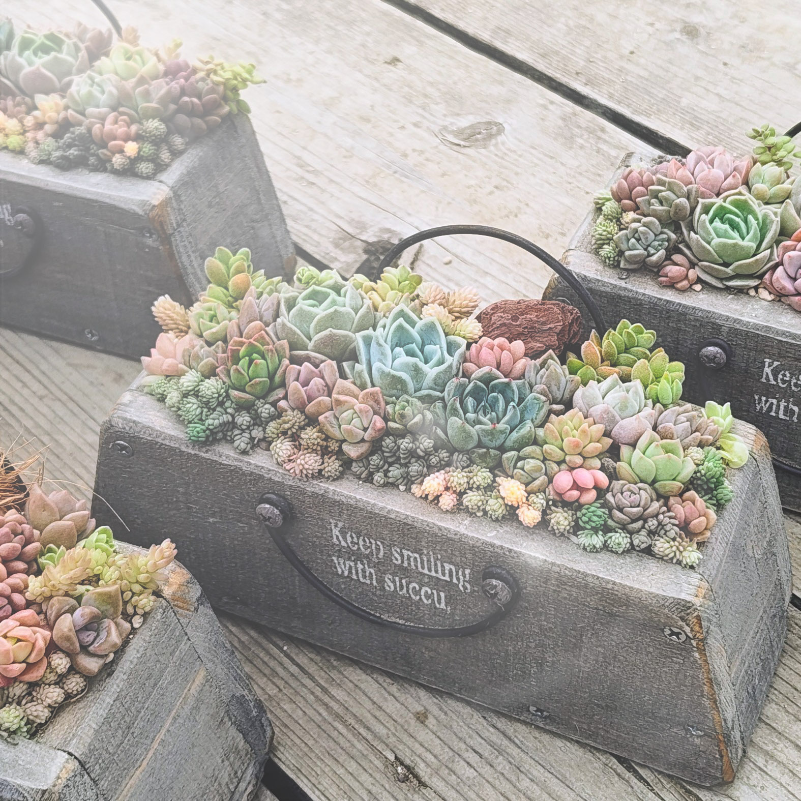スリムバッグ型の鉢に寄せ植え👜 | CAINZ DIY Square